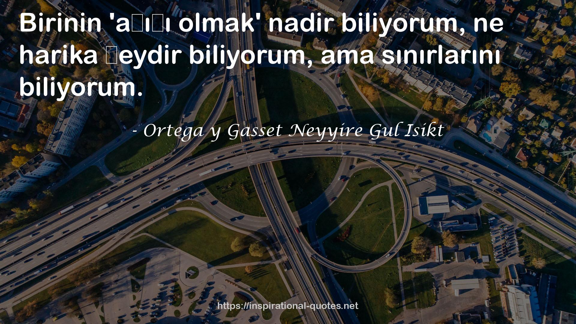 Ortega y Gasset Neyyire Gul Isikt QUOTES