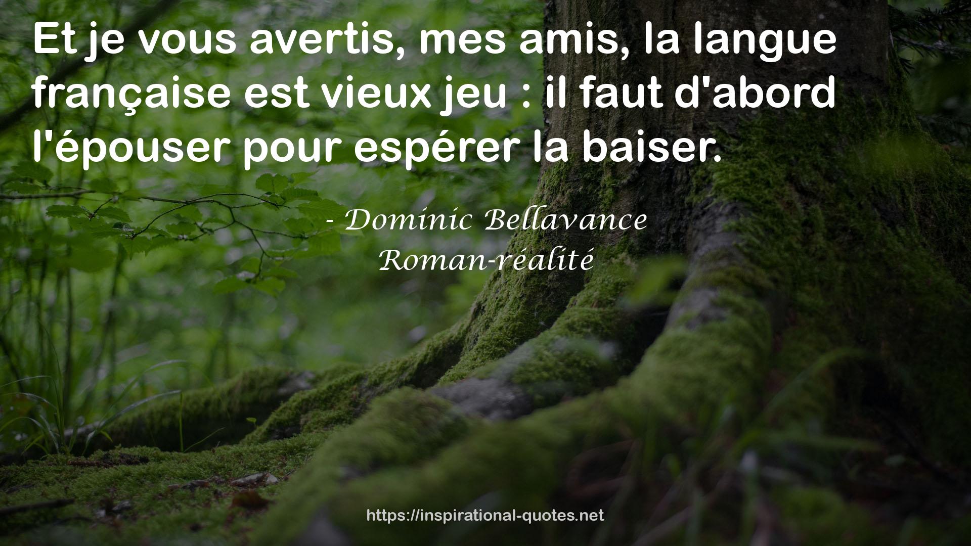 Dominic Bellavance QUOTES