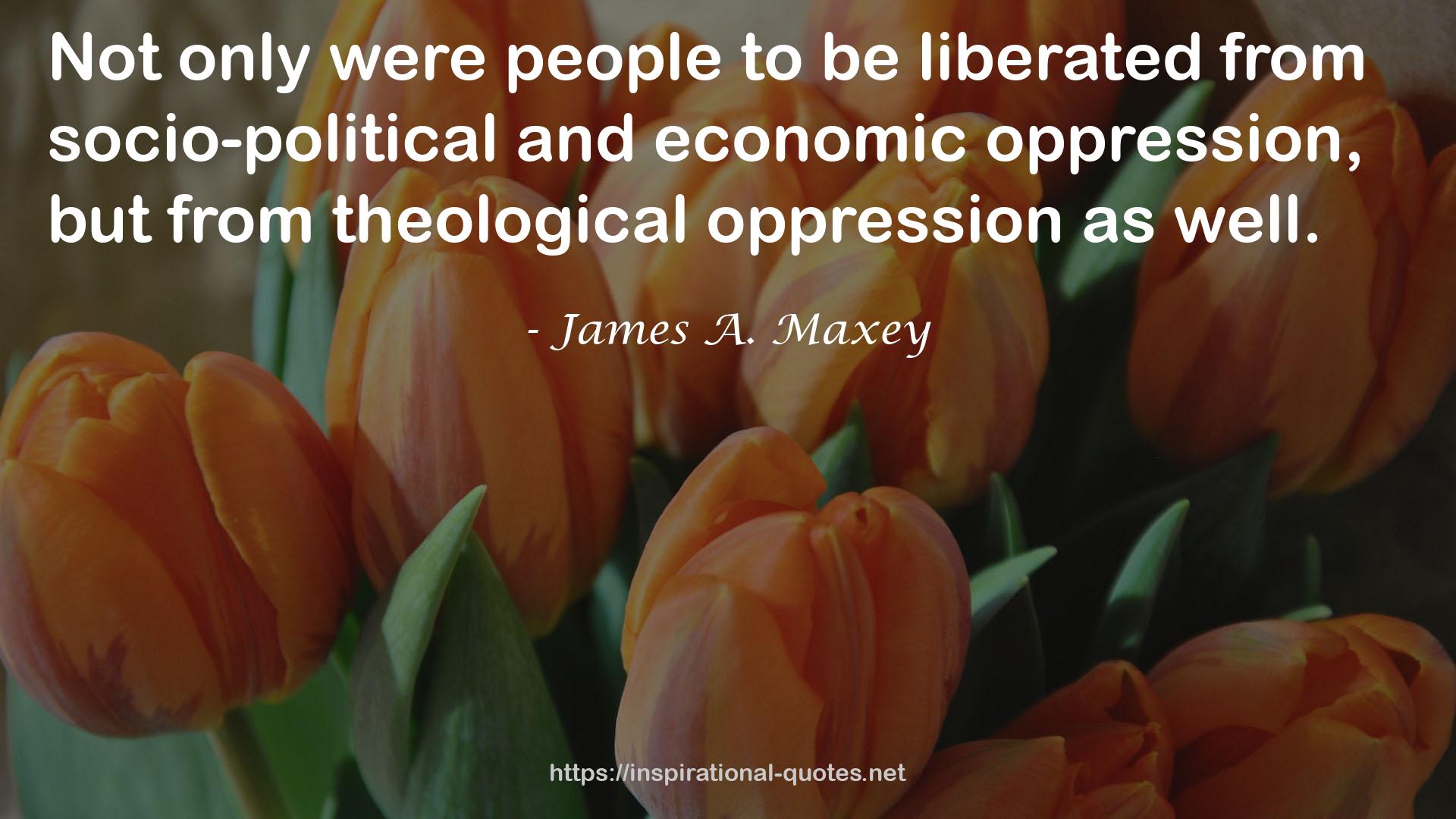 James A. Maxey QUOTES