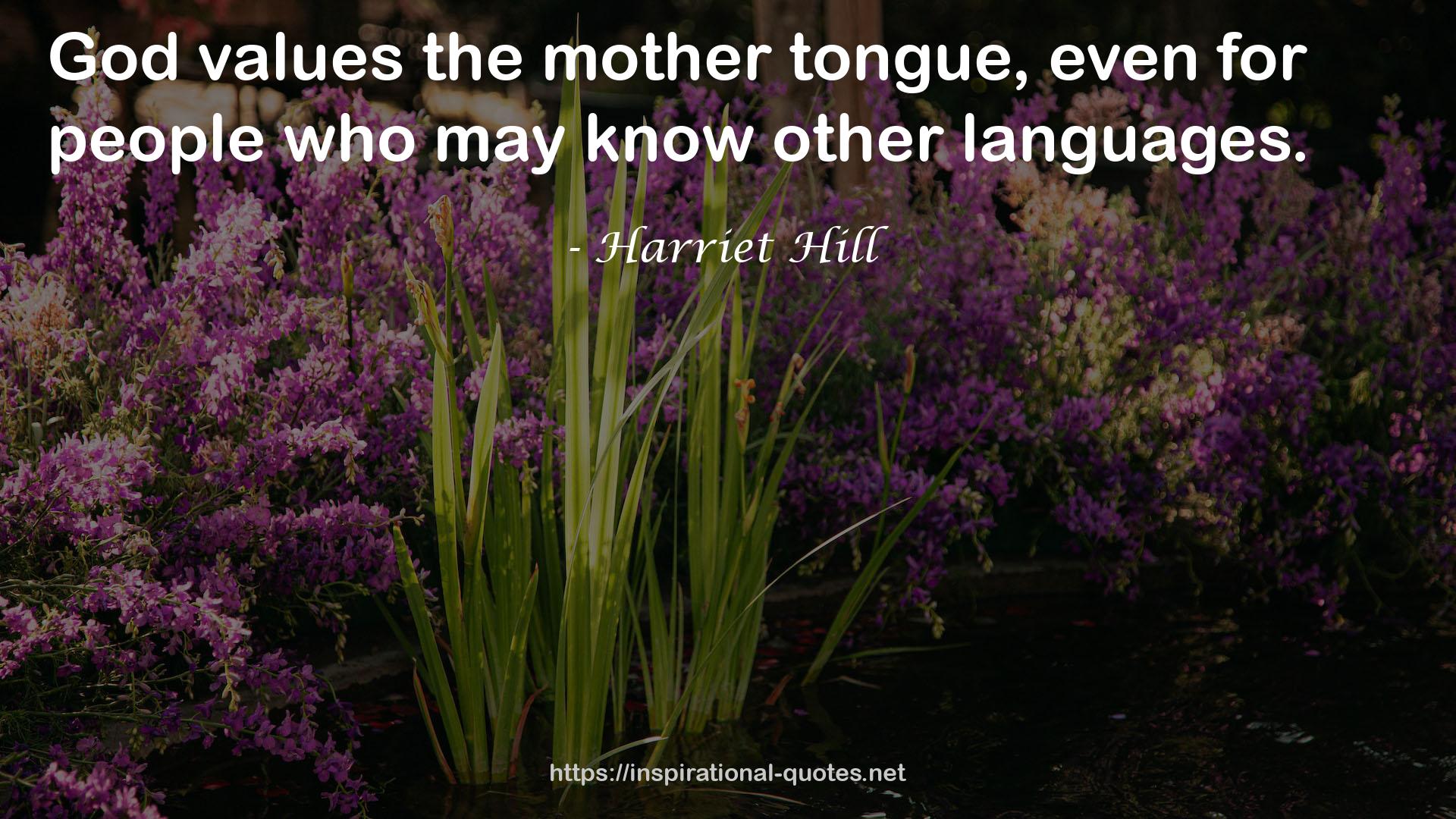 Harriet Hill QUOTES