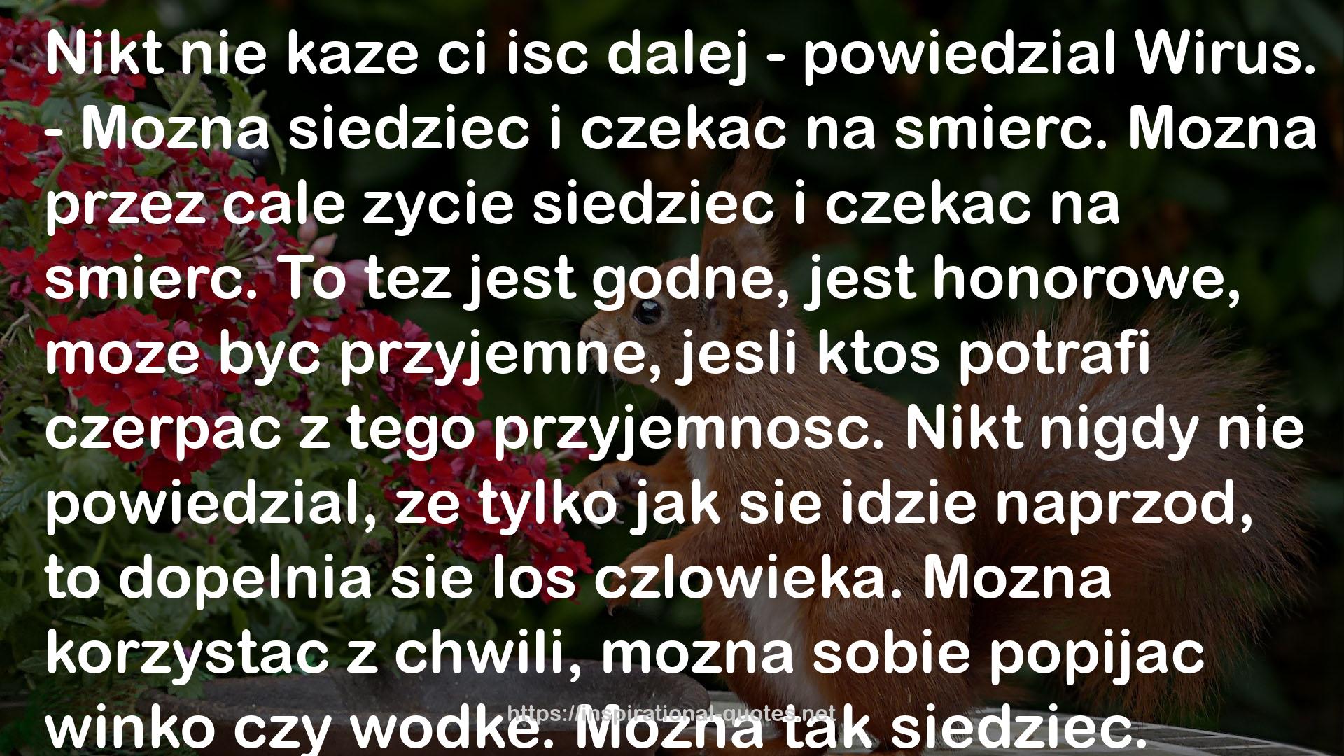 Andrzej Ziemiański QUOTES
