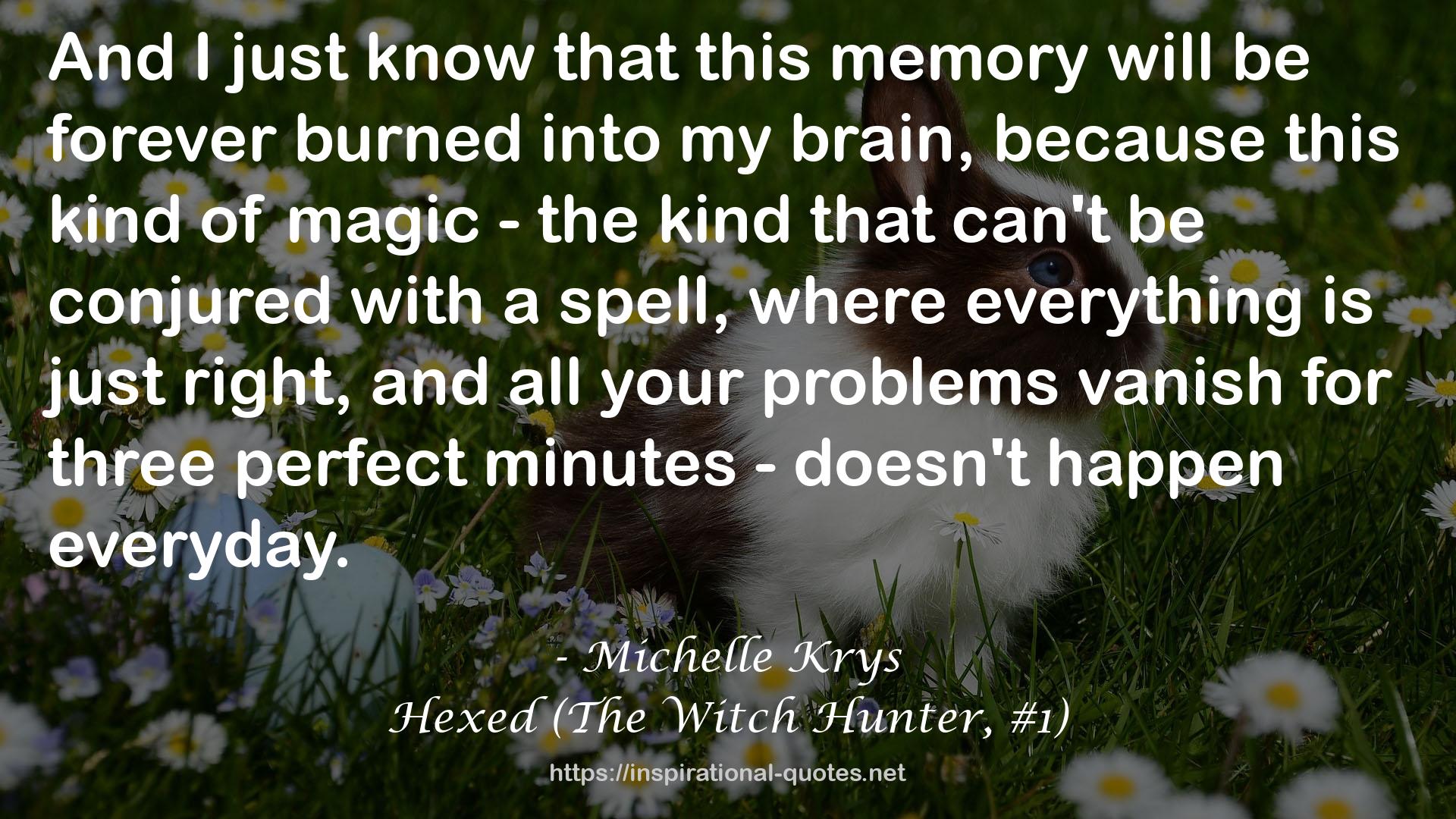 Hexed (The Witch Hunter, #1) QUOTES