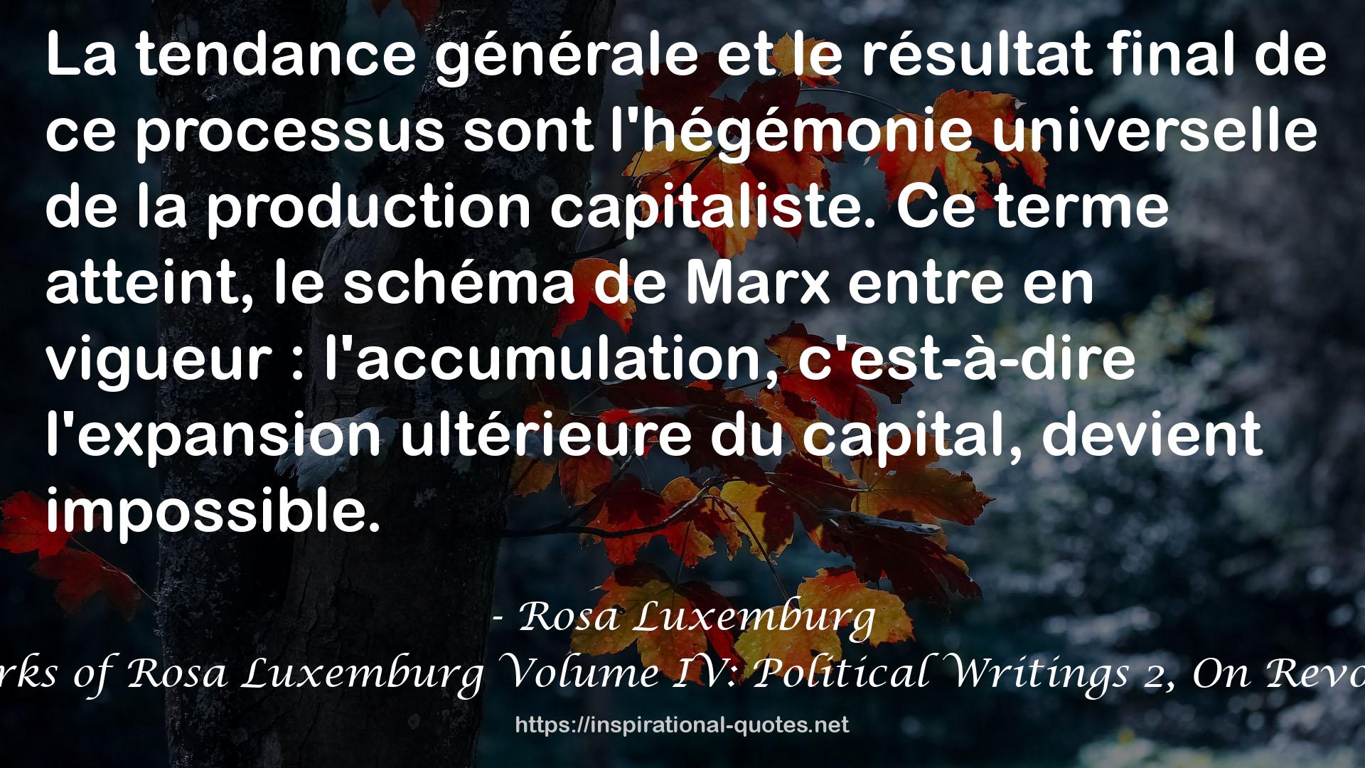 The Complete Works of Rosa Luxemburg Volume IV: Political Writings 2, On Revolution (1906-1909) QUOTES