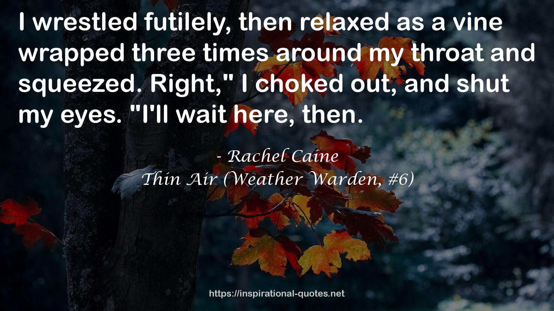 Thin Air (Weather Warden, #6) QUOTES