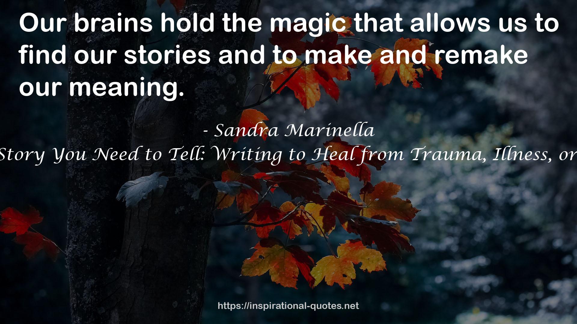 Sandra Marinella QUOTES