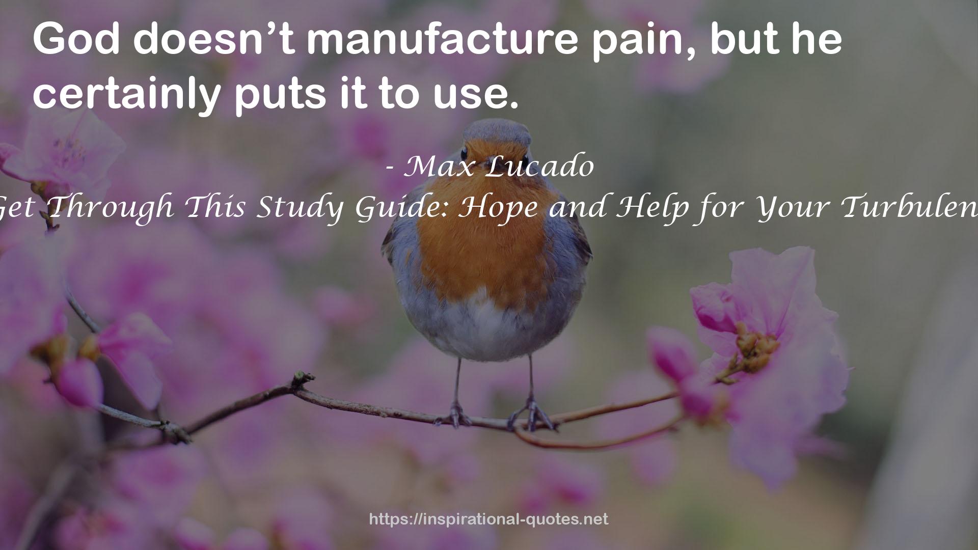 You'll Get Through This Study Guide: Hope and Help for Your Turbulent Times QUOTES