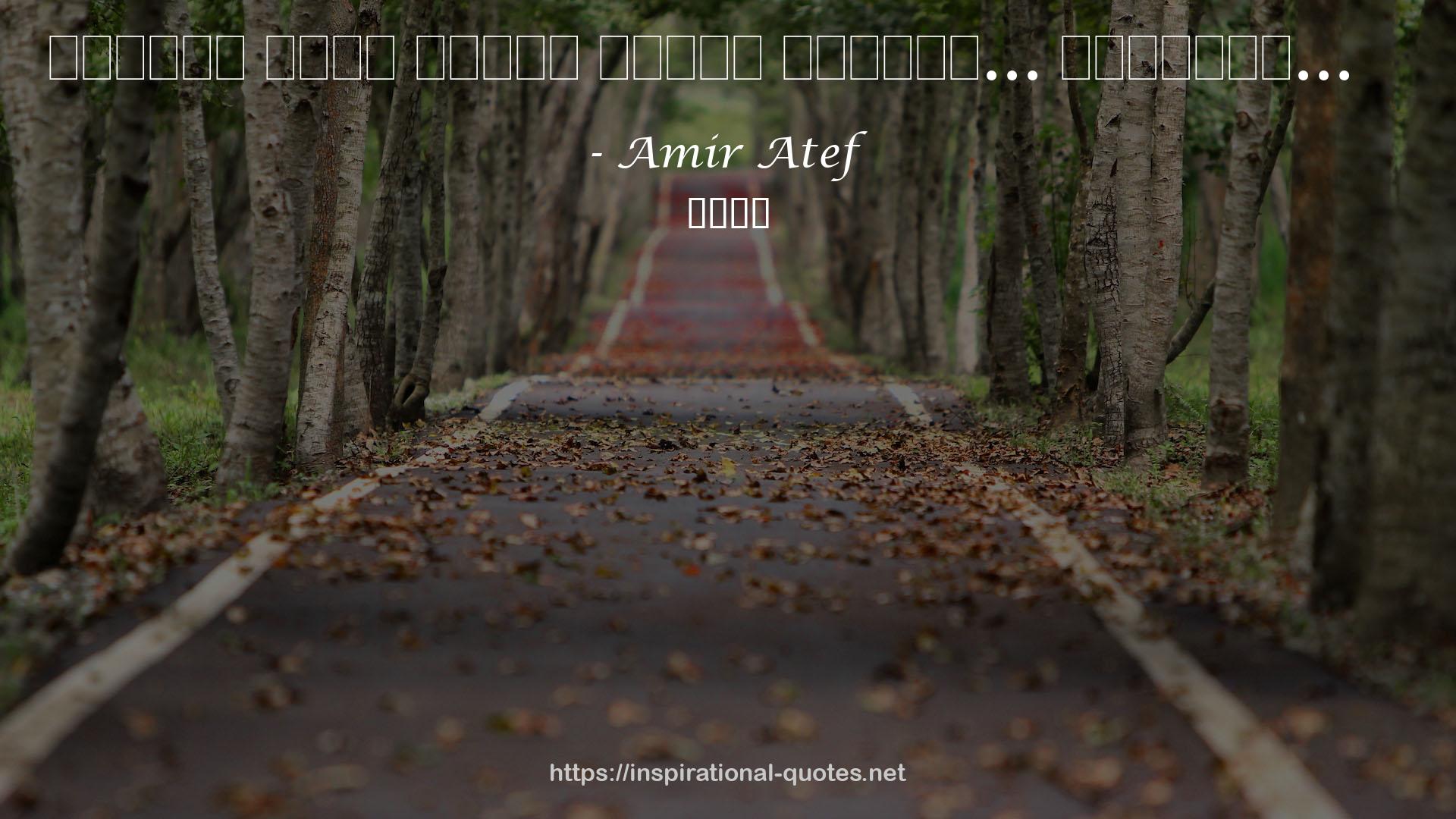 Amir Atef QUOTES