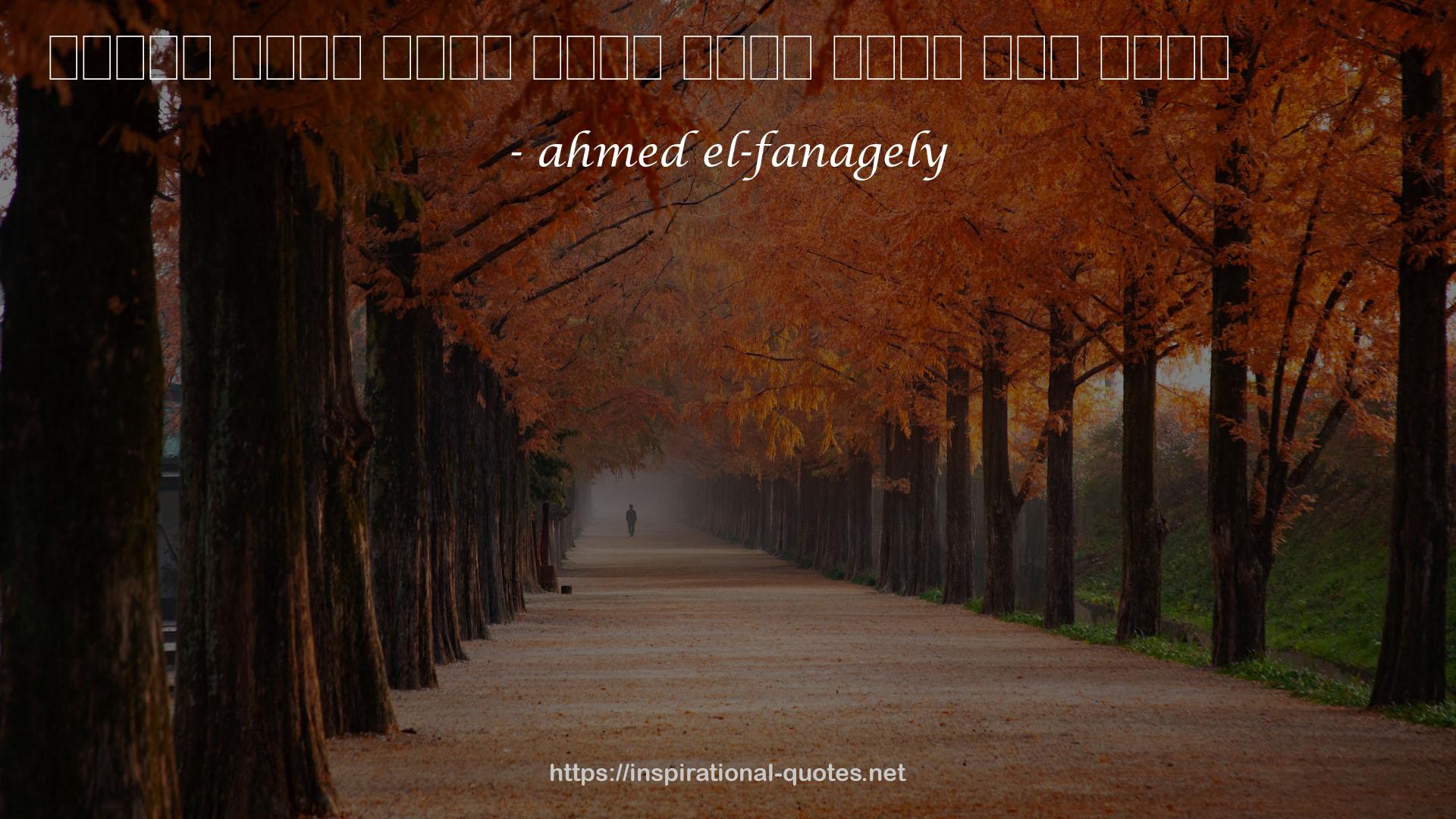 ahmed el-fanagely QUOTES