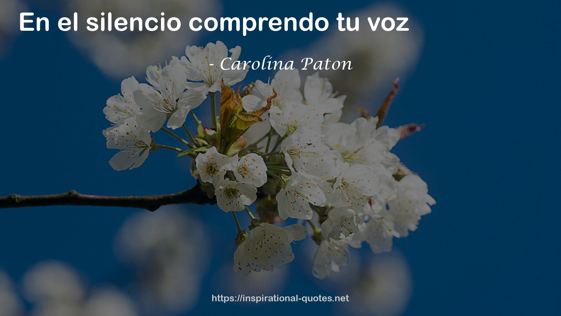 Carolina Paton QUOTES