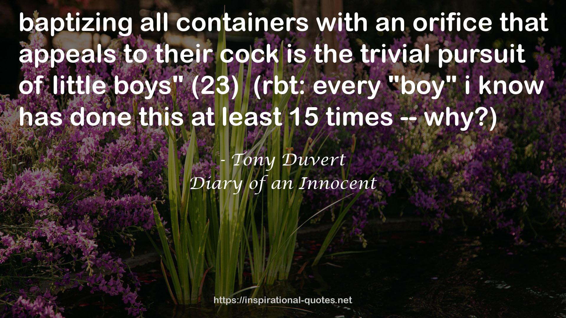 Tony Duvert QUOTES