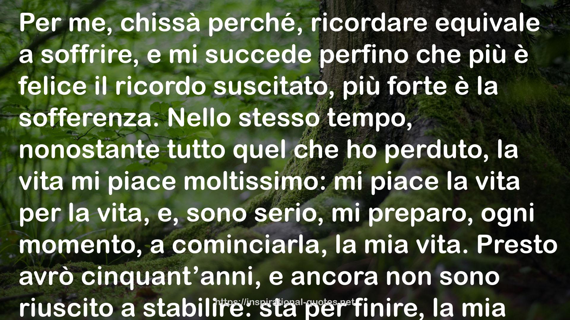 Lettere QUOTES