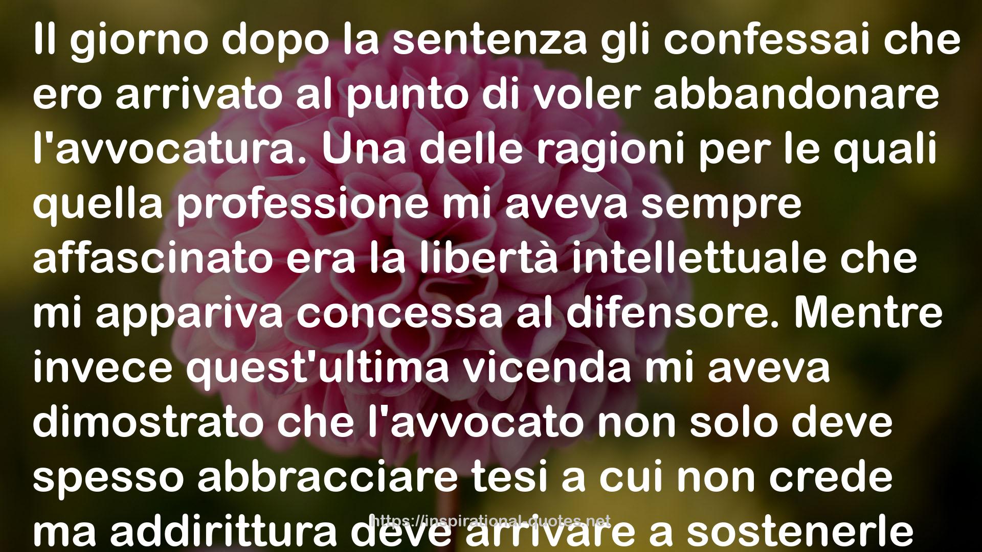 Solo per giustizia QUOTES