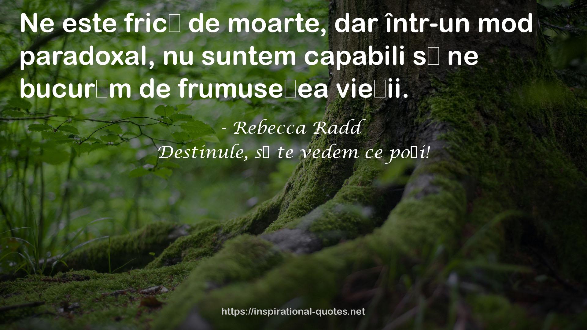 Rebecca Radd QUOTES