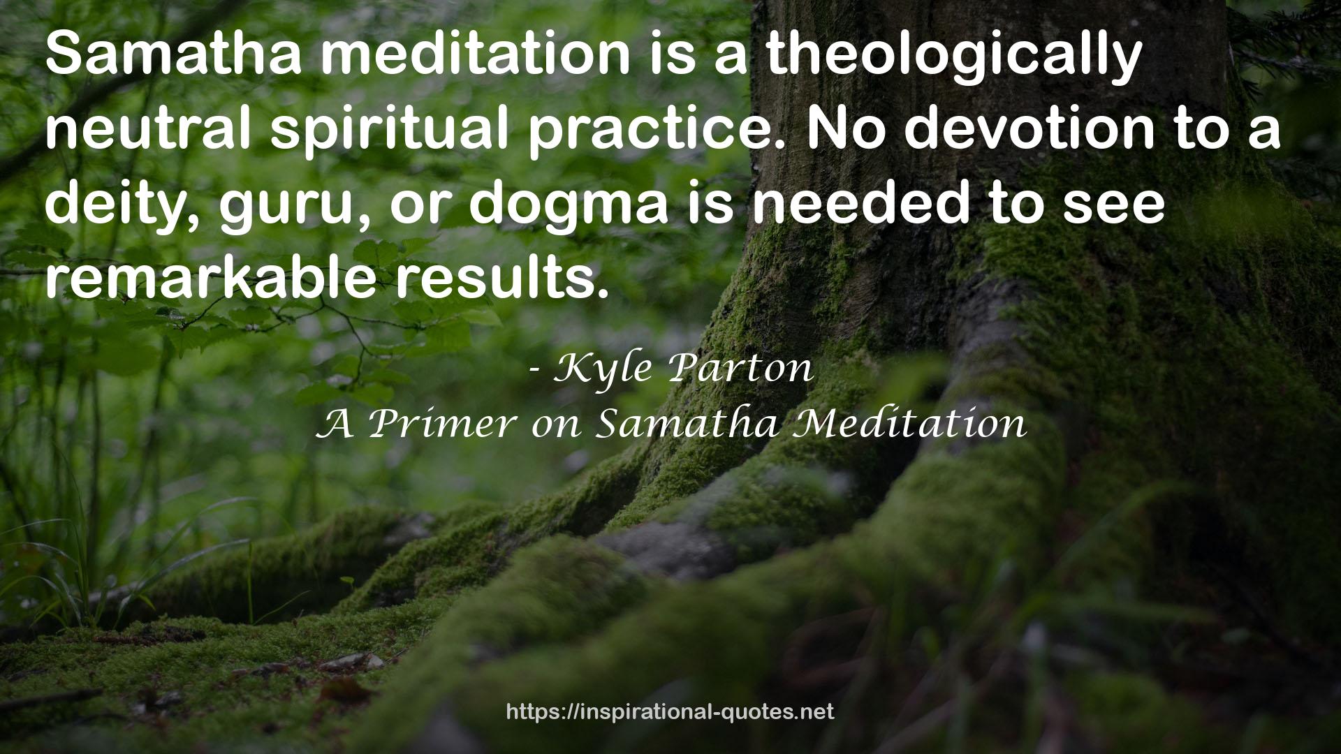 A Primer on Samatha Meditation QUOTES