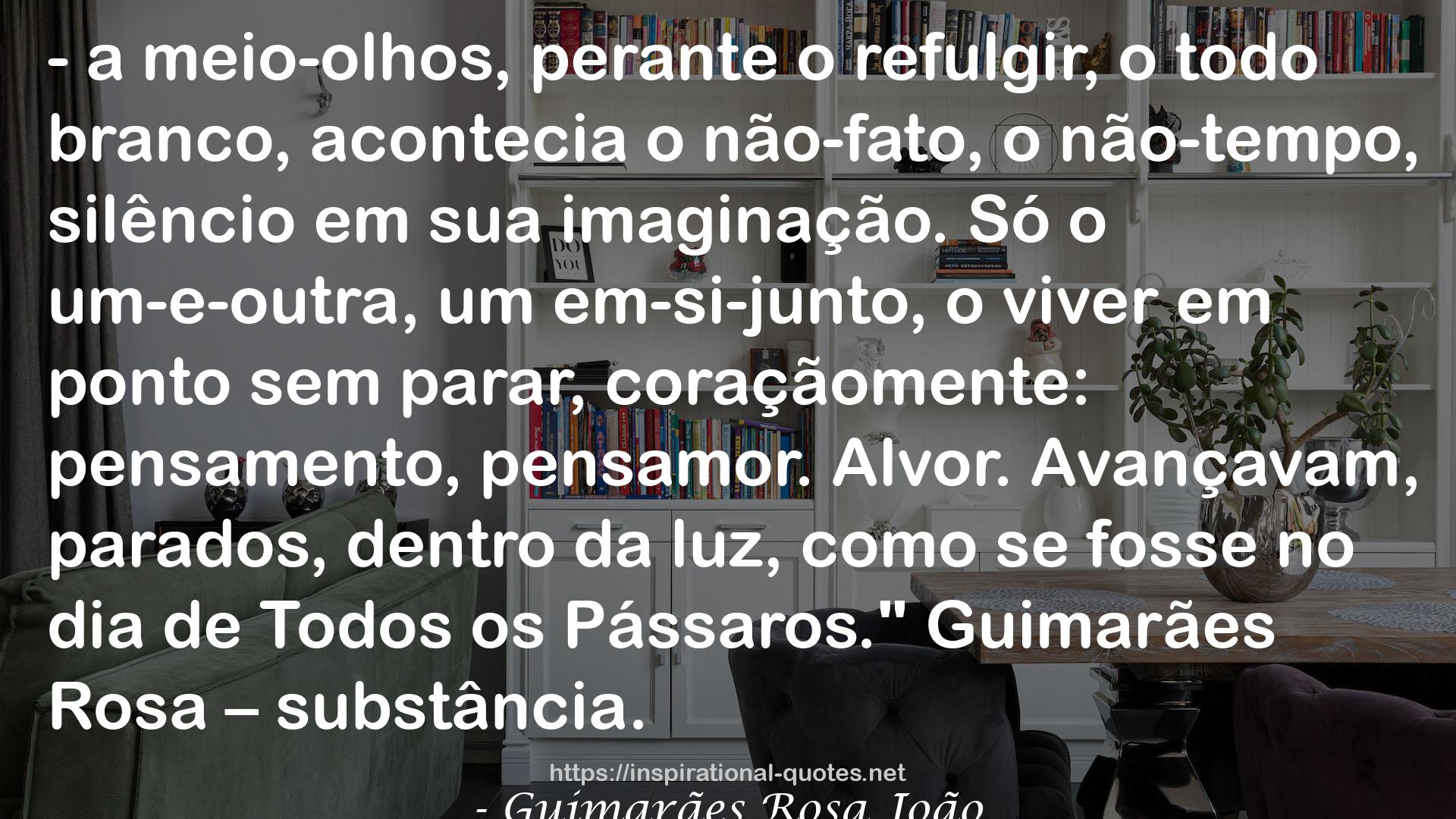 Guimarães Rosa João QUOTES