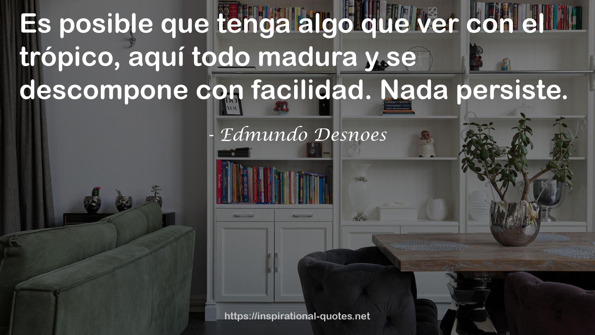 Edmundo Desnoes QUOTES