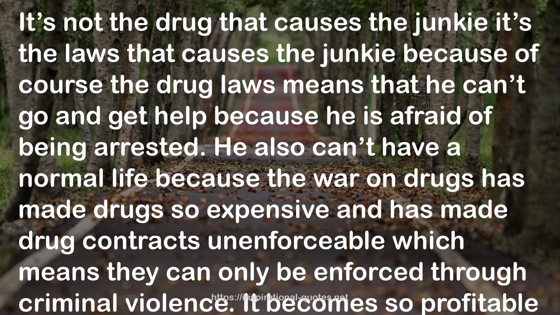 junkie  QUOTES