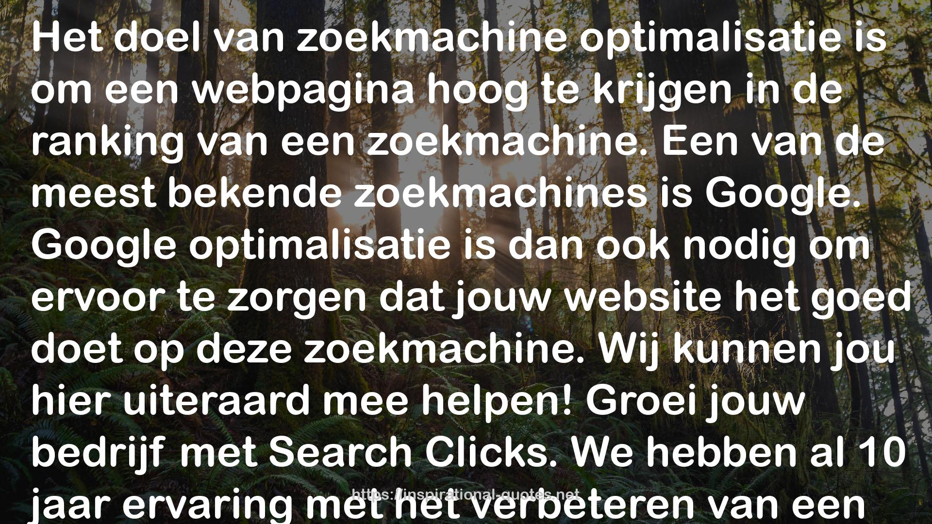 Zoekmachine Optimalisatie QUOTES