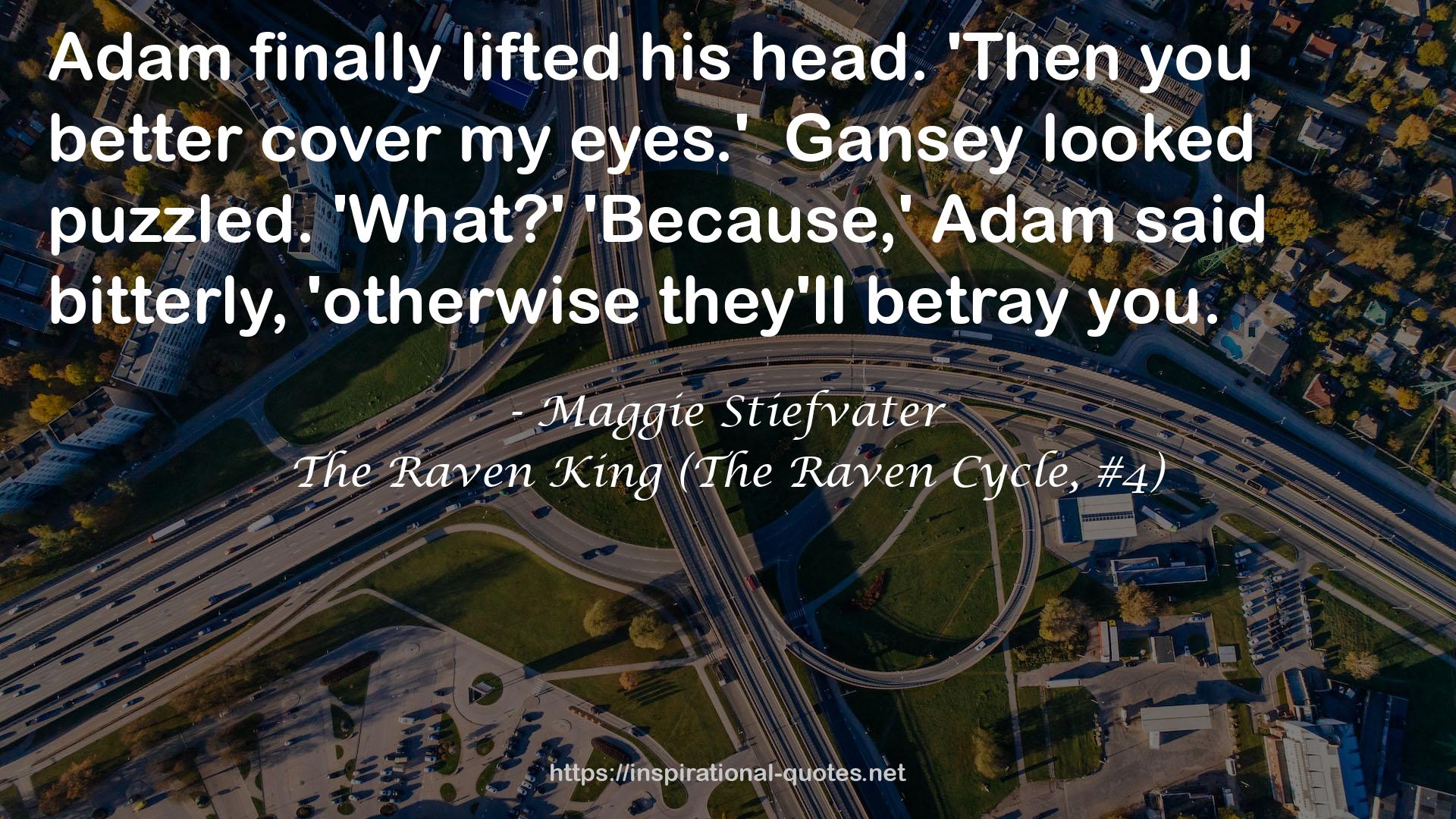 The Raven King (The Raven Cycle, #4) QUOTES