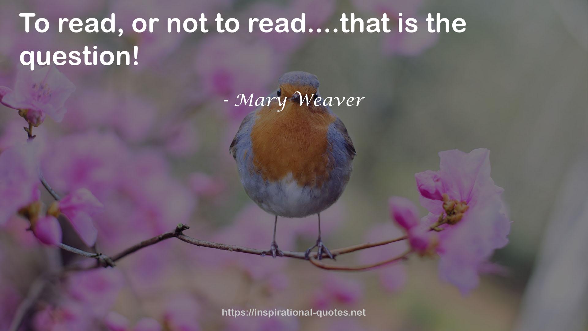 Mary Weaver QUOTES