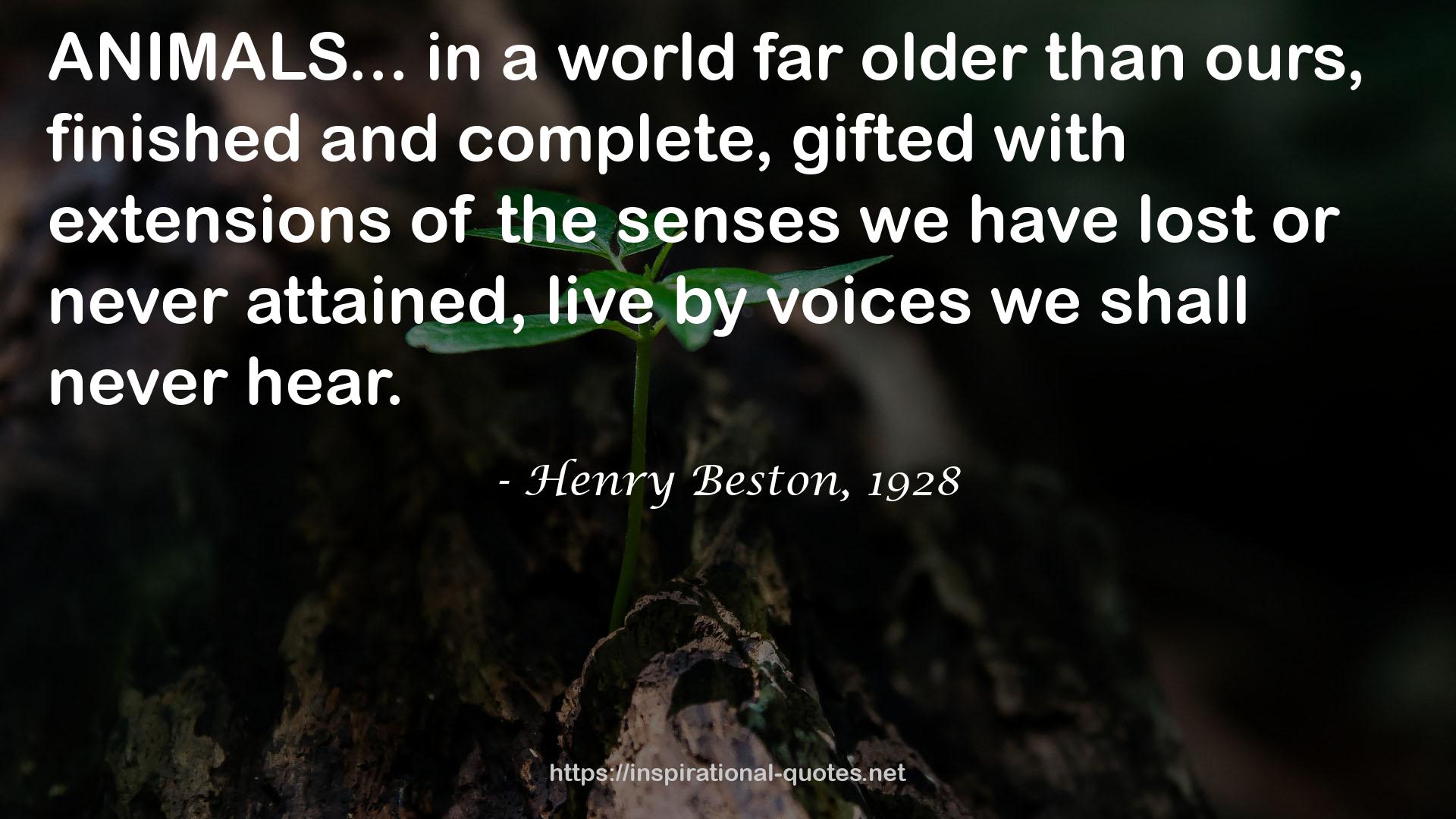 Henry Beston, 1928 QUOTES