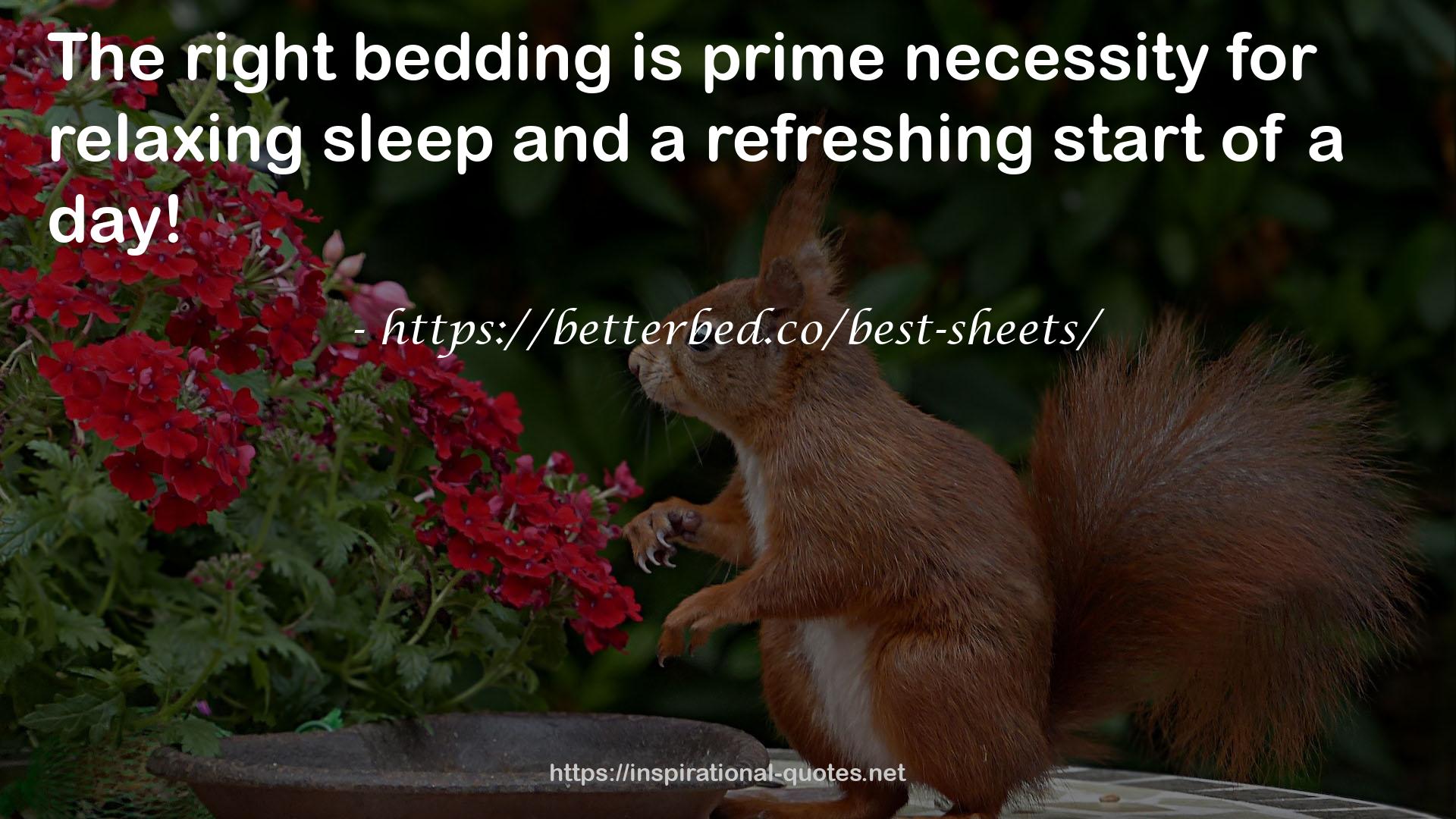 https://betterbed.co/best-sheets/ QUOTES