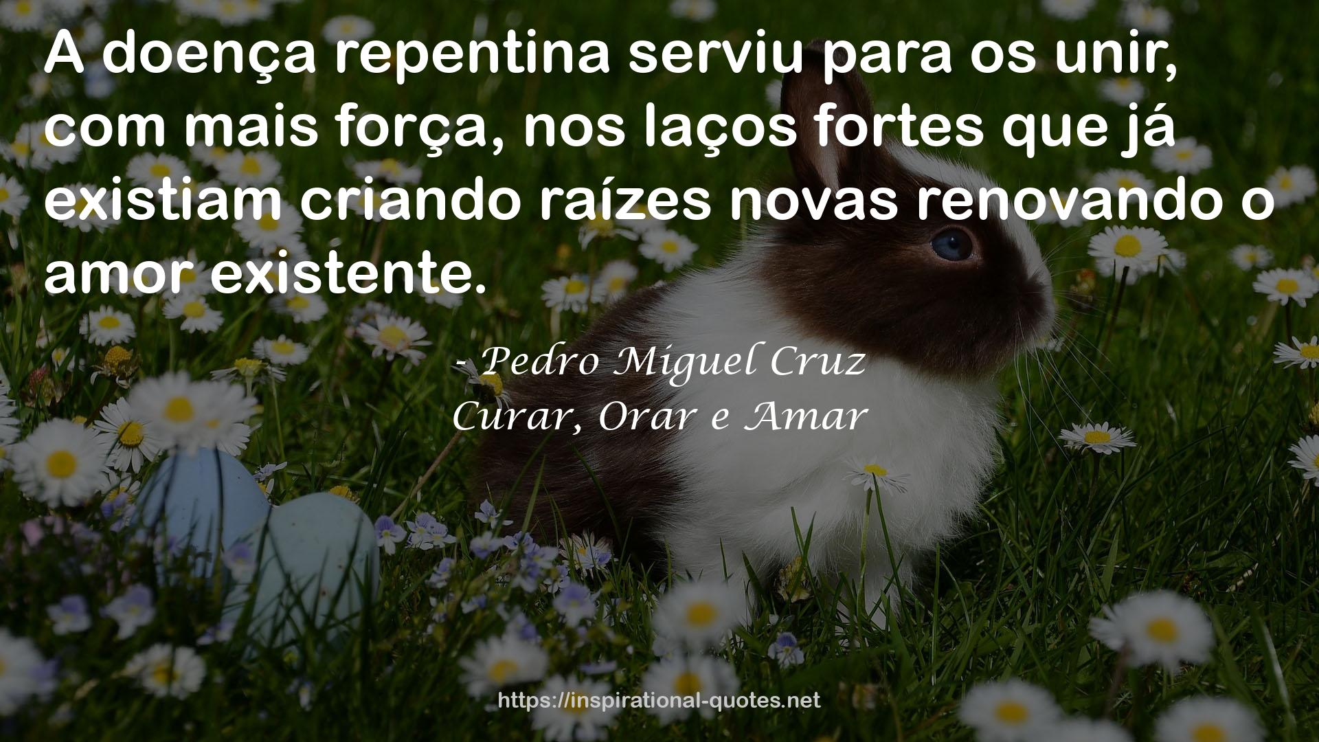 Curar, Orar e Amar QUOTES