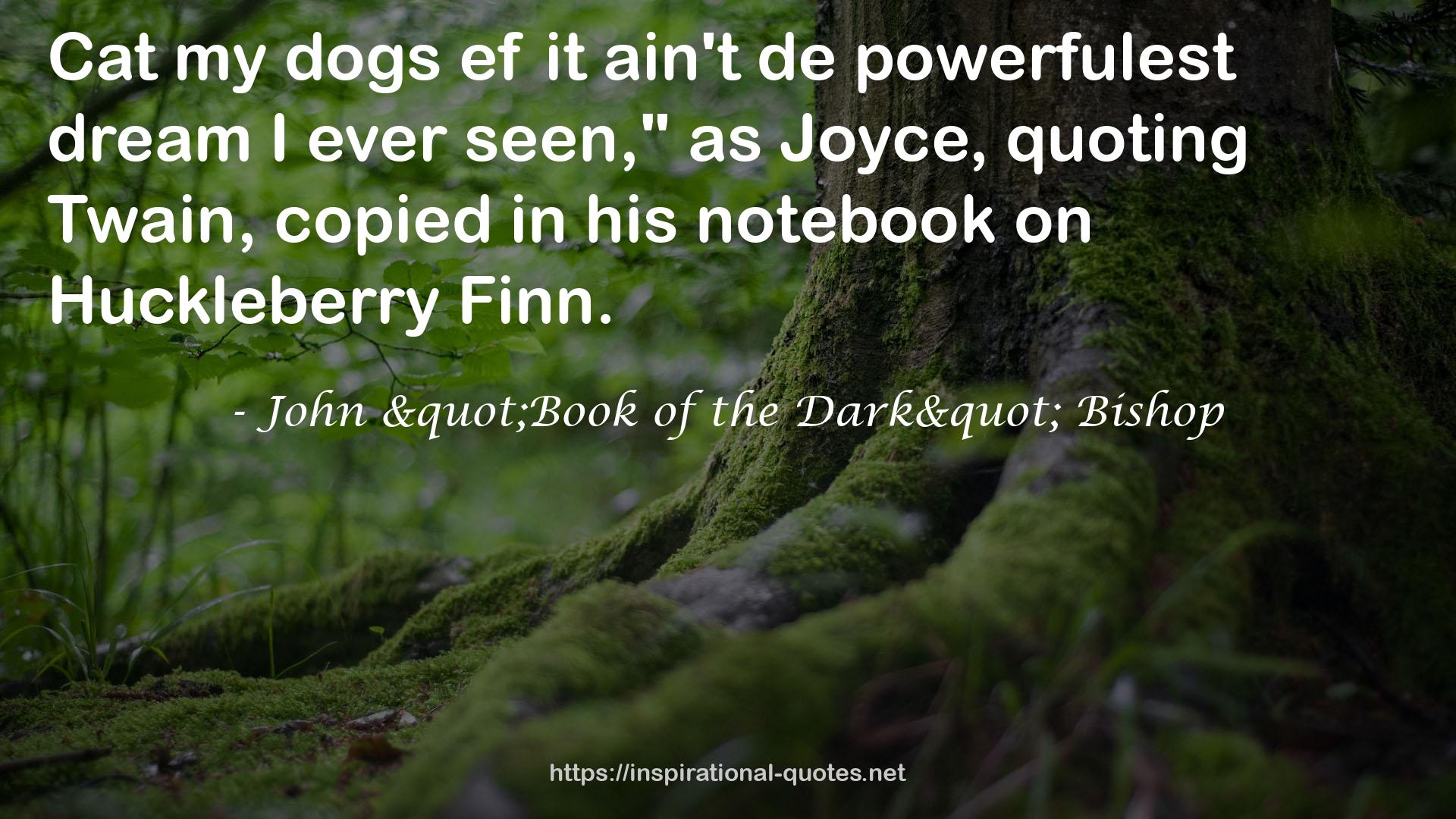 John "Book of the Dark" Bishop QUOTES