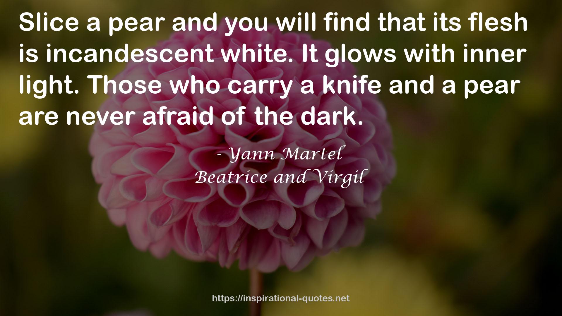 Beatrice and Virgil QUOTES