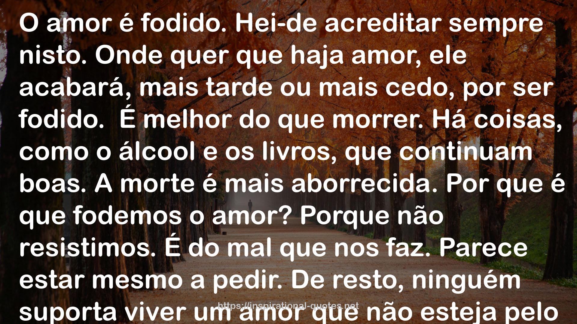 O Amor é Fodido QUOTES