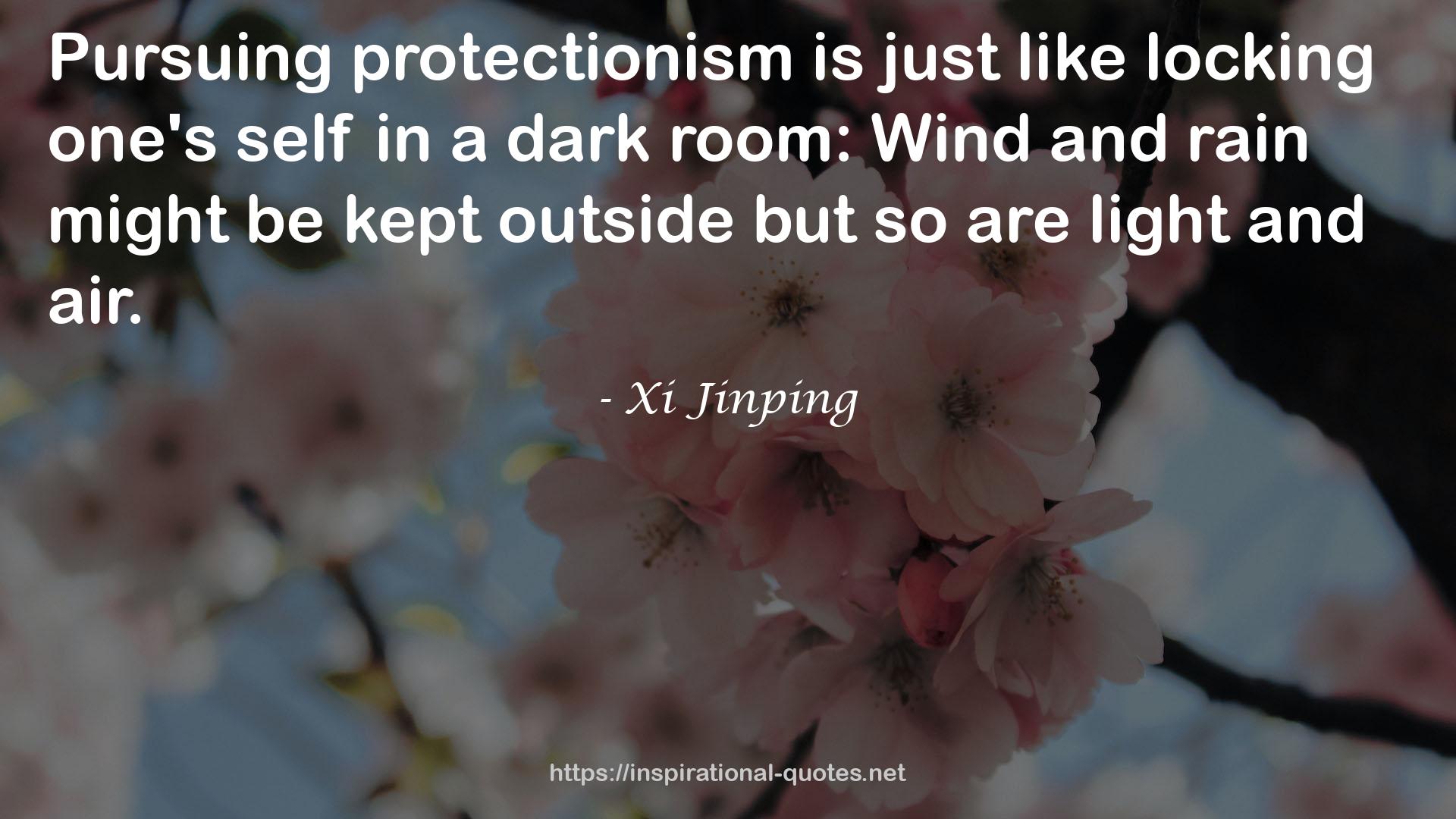 Xi Jinping QUOTES