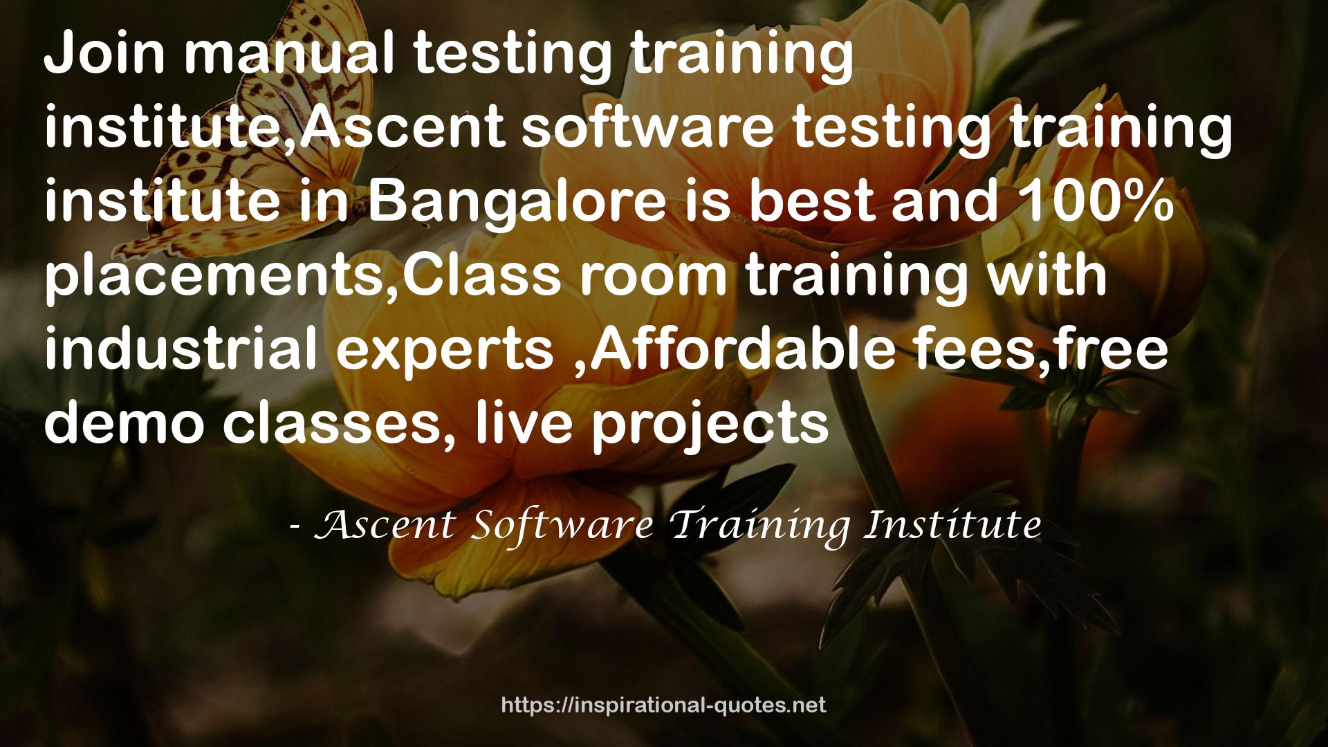 Ascent Software Training Institute QUOTES