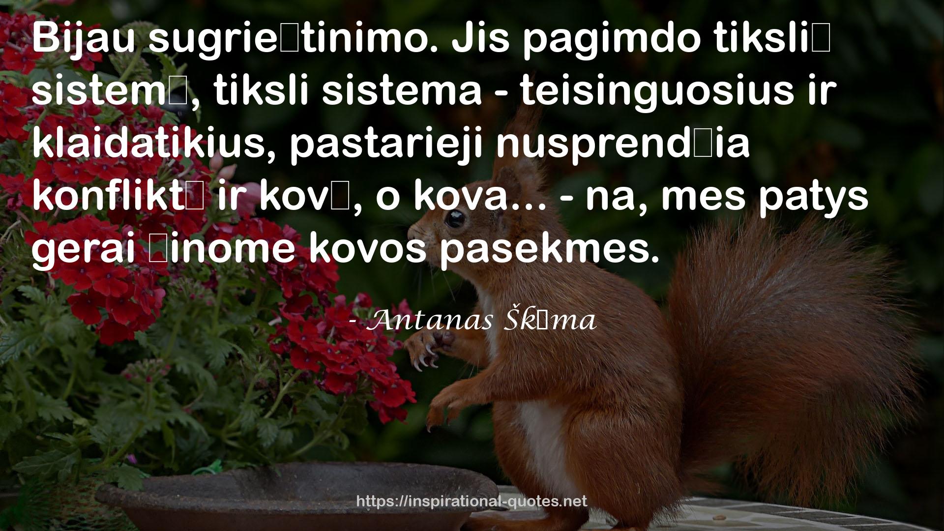 Antanas Škėma QUOTES