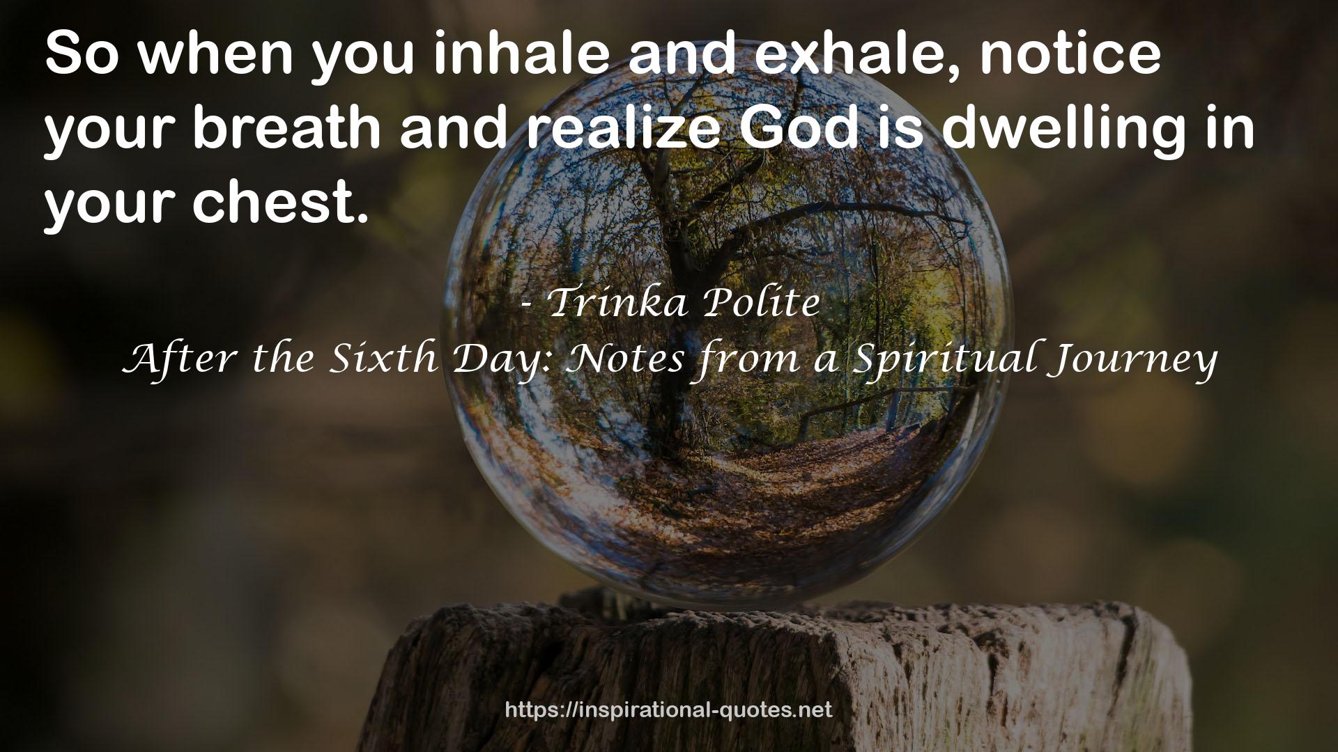 After the Sixth Day: Notes from a Spiritual Journey QUOTES