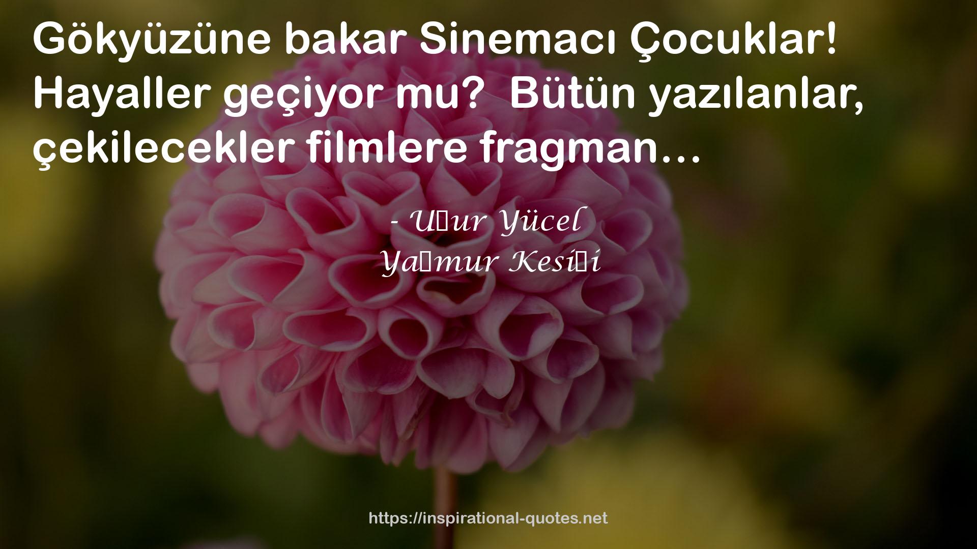 Yağmur Kesiği QUOTES