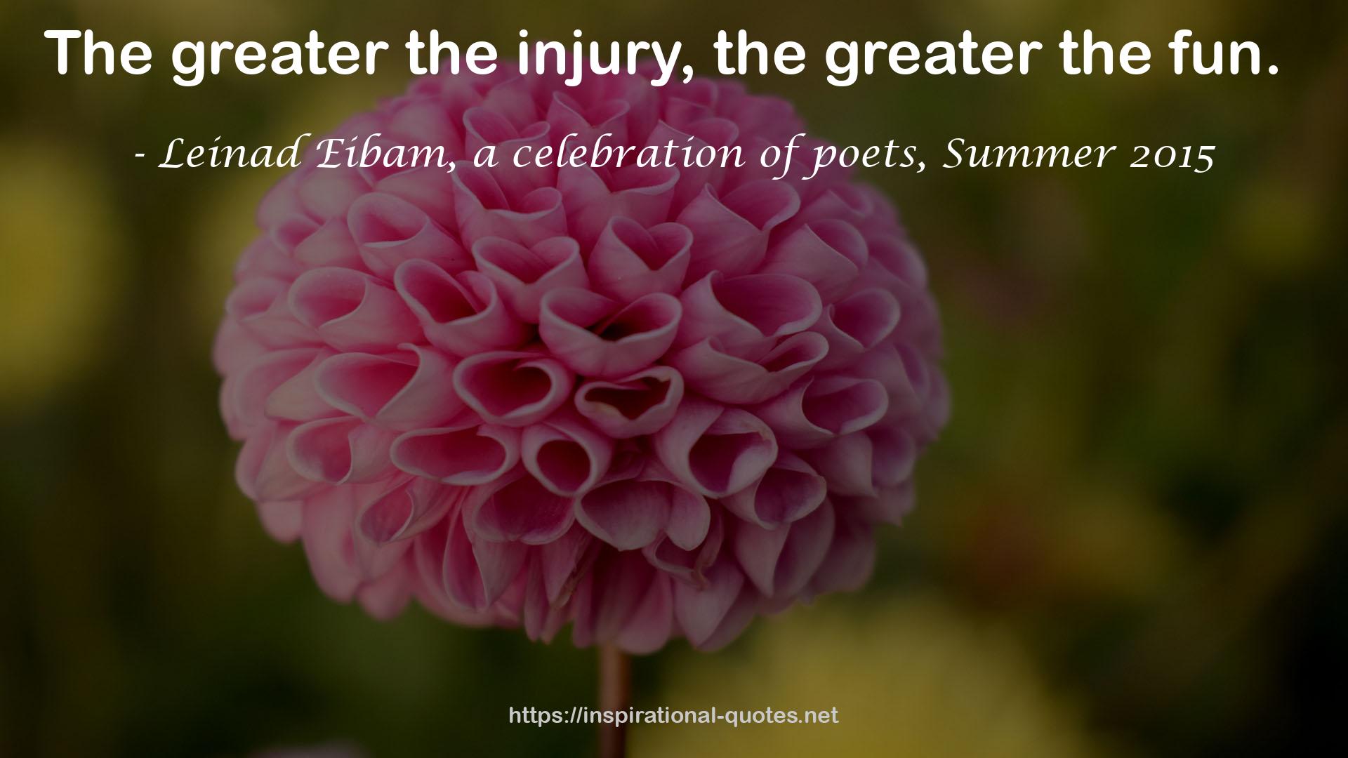 Leinad Eibam, a celebration of poets, Summer 2015 QUOTES