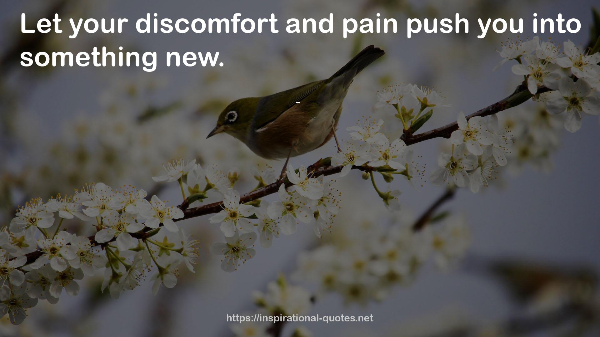 your discomfort  QUOTES