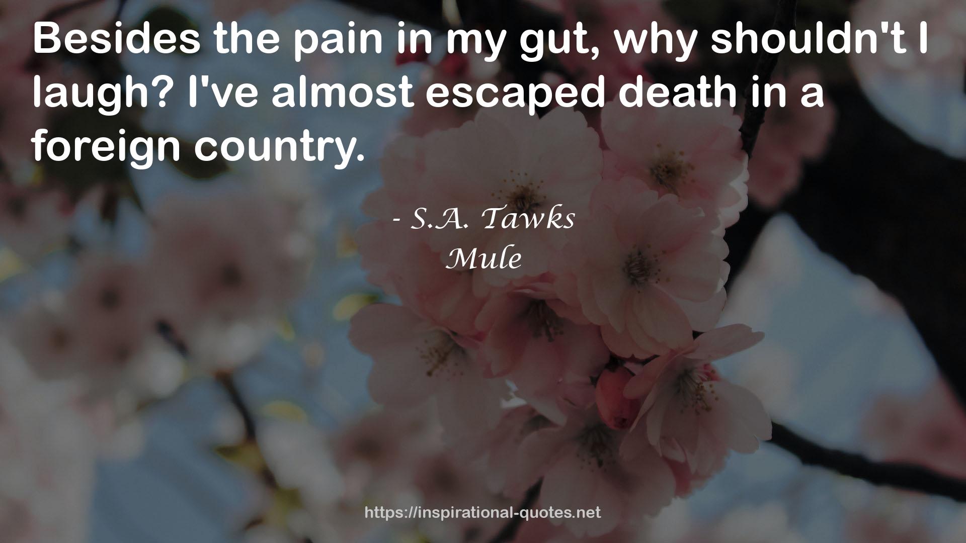 S.A. Tawks QUOTES