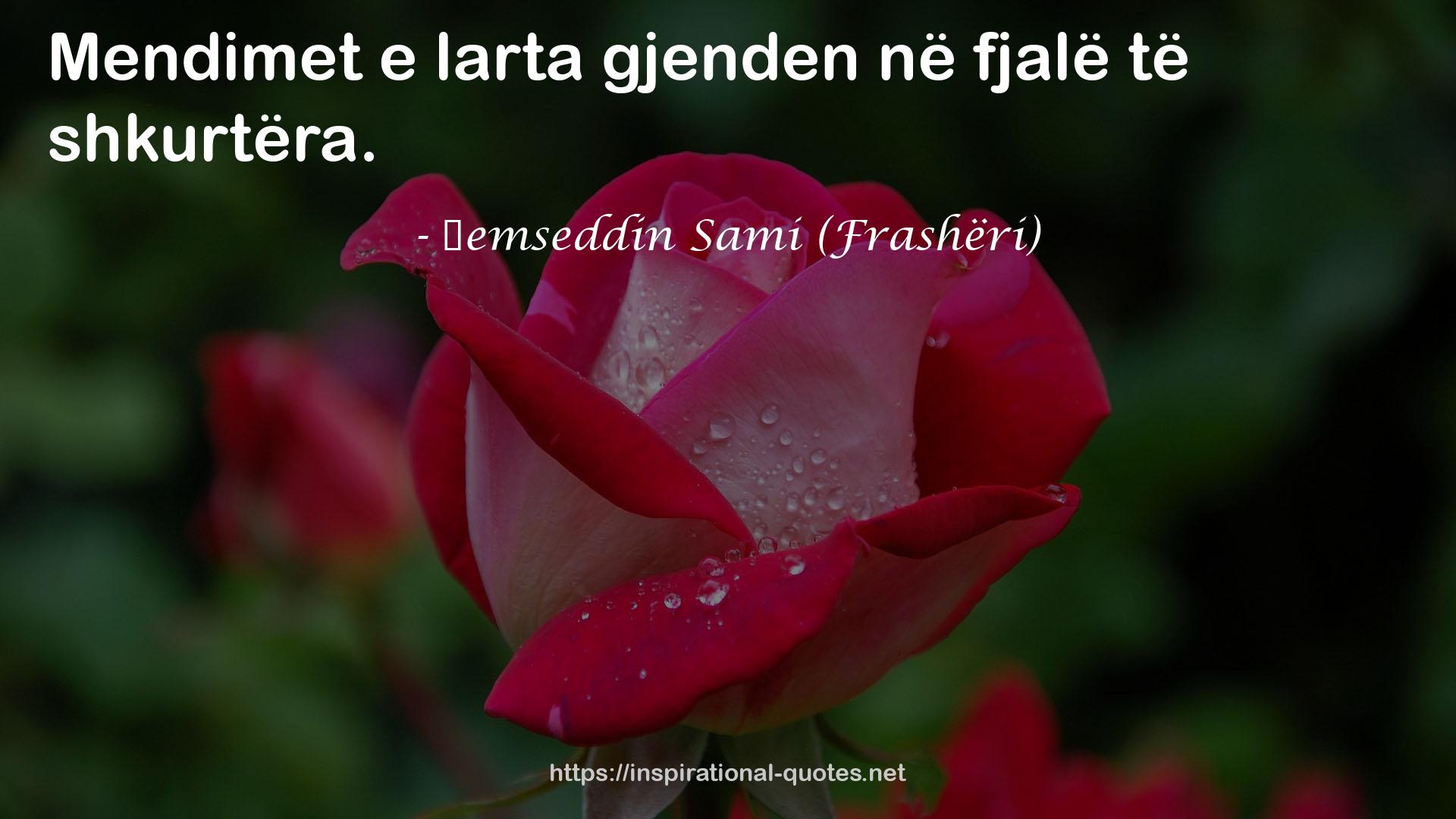 Şemseddin Sami (Frashëri) QUOTES