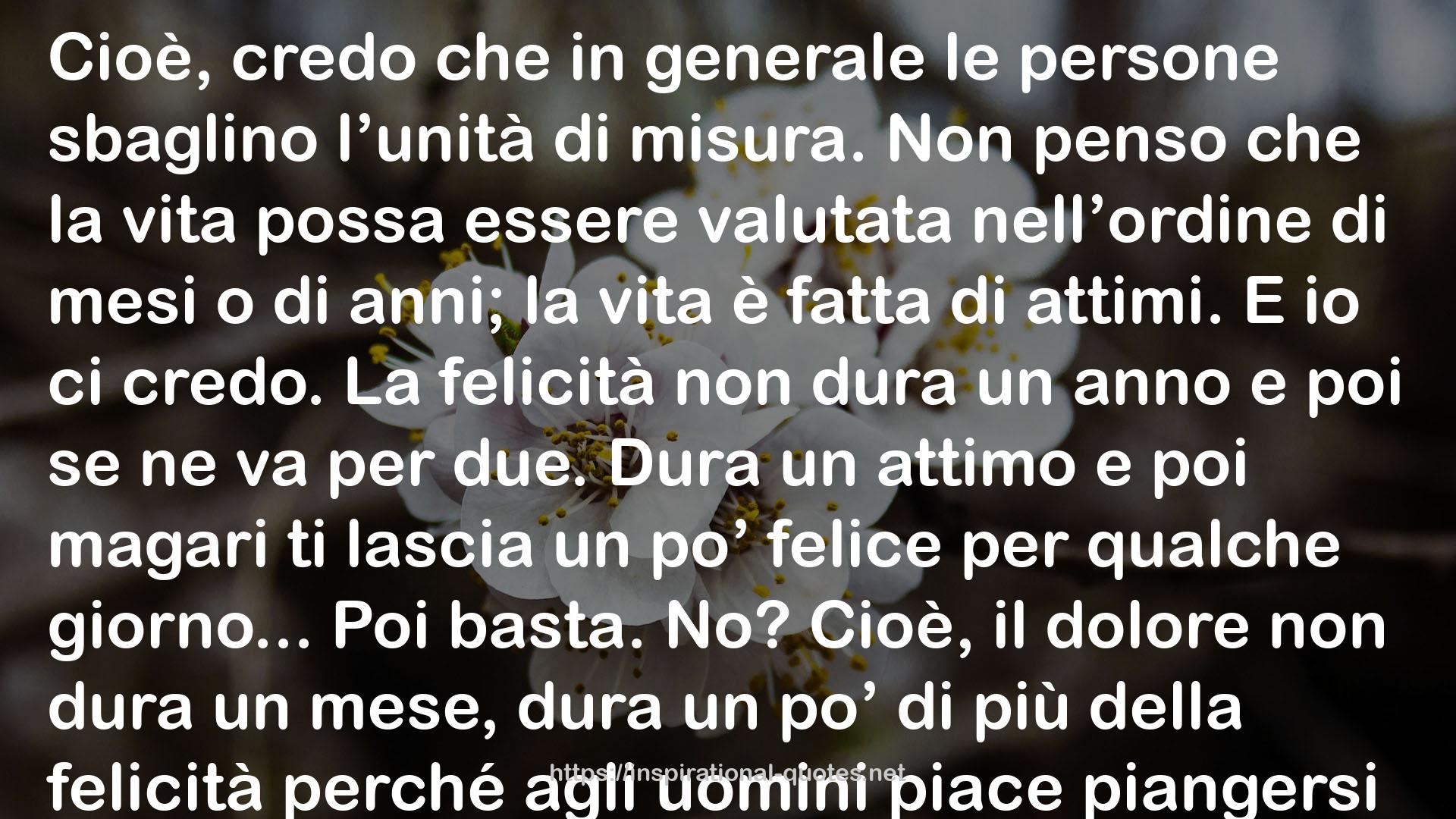 Ma la vita è un'altra cosa QUOTES