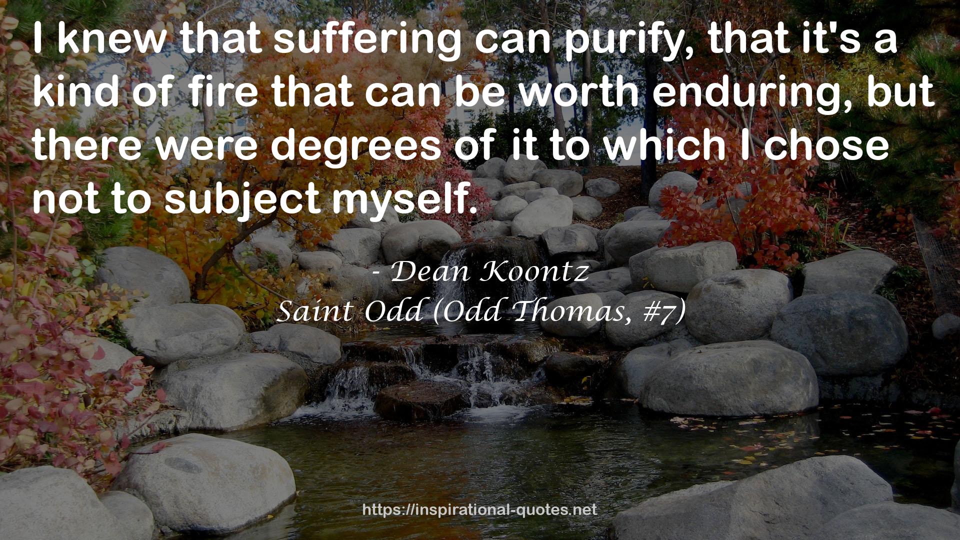 Saint Odd (Odd Thomas, #7) QUOTES