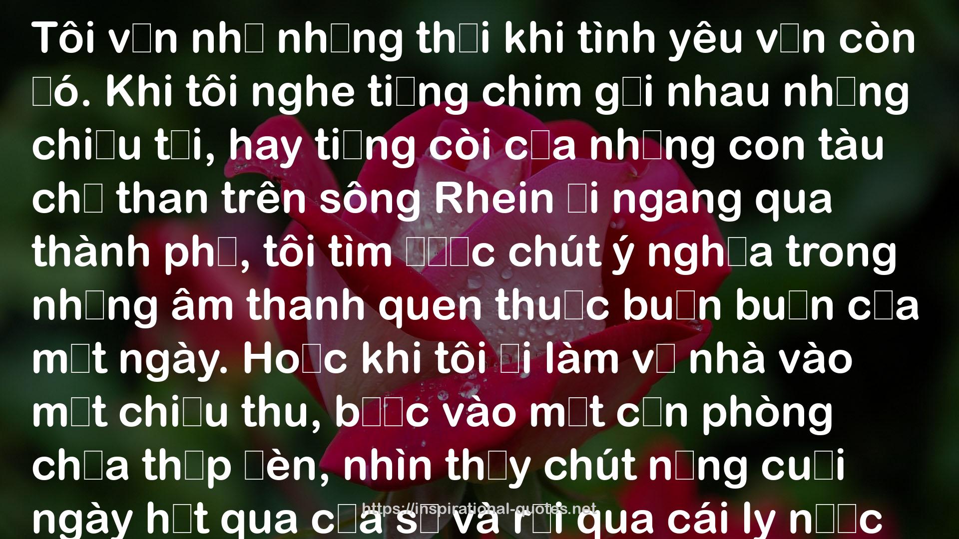 Đoàn Minh Phượng QUOTES