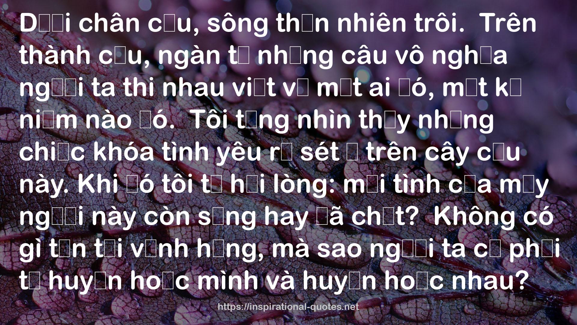 Theo Đuổi QUOTES