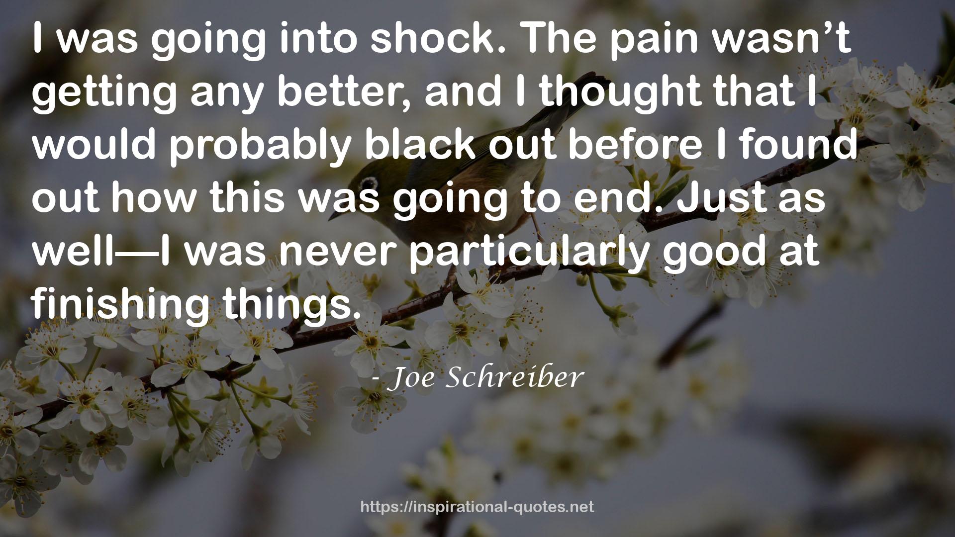 Joe Schreiber QUOTES