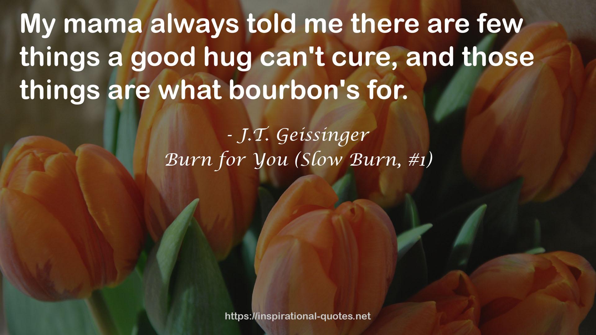 Burn for You (Slow Burn, #1) QUOTES