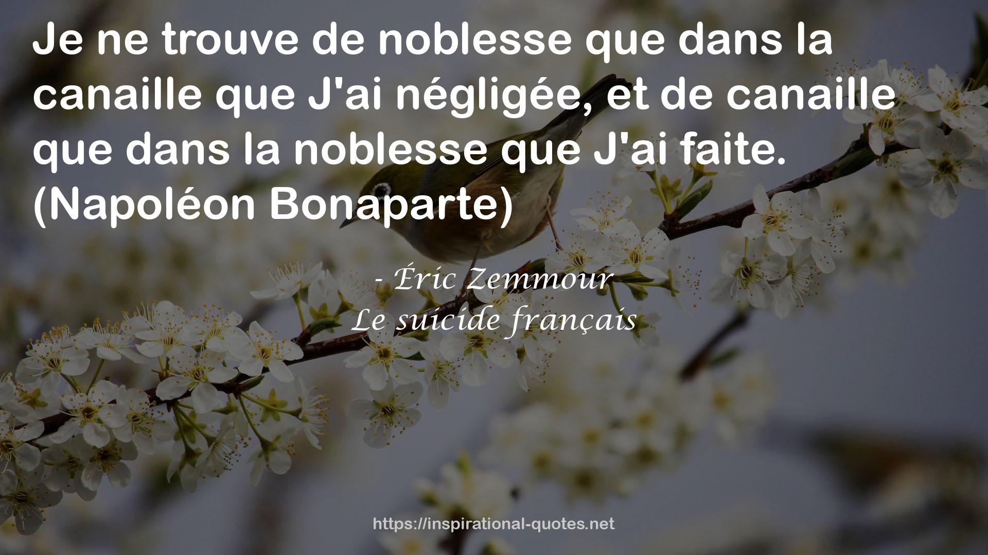 Éric Zemmour QUOTES