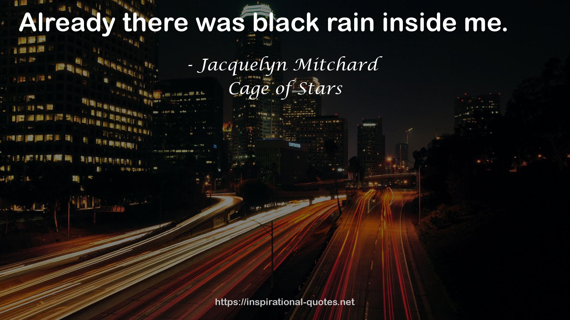 Jacquelyn Mitchard QUOTES