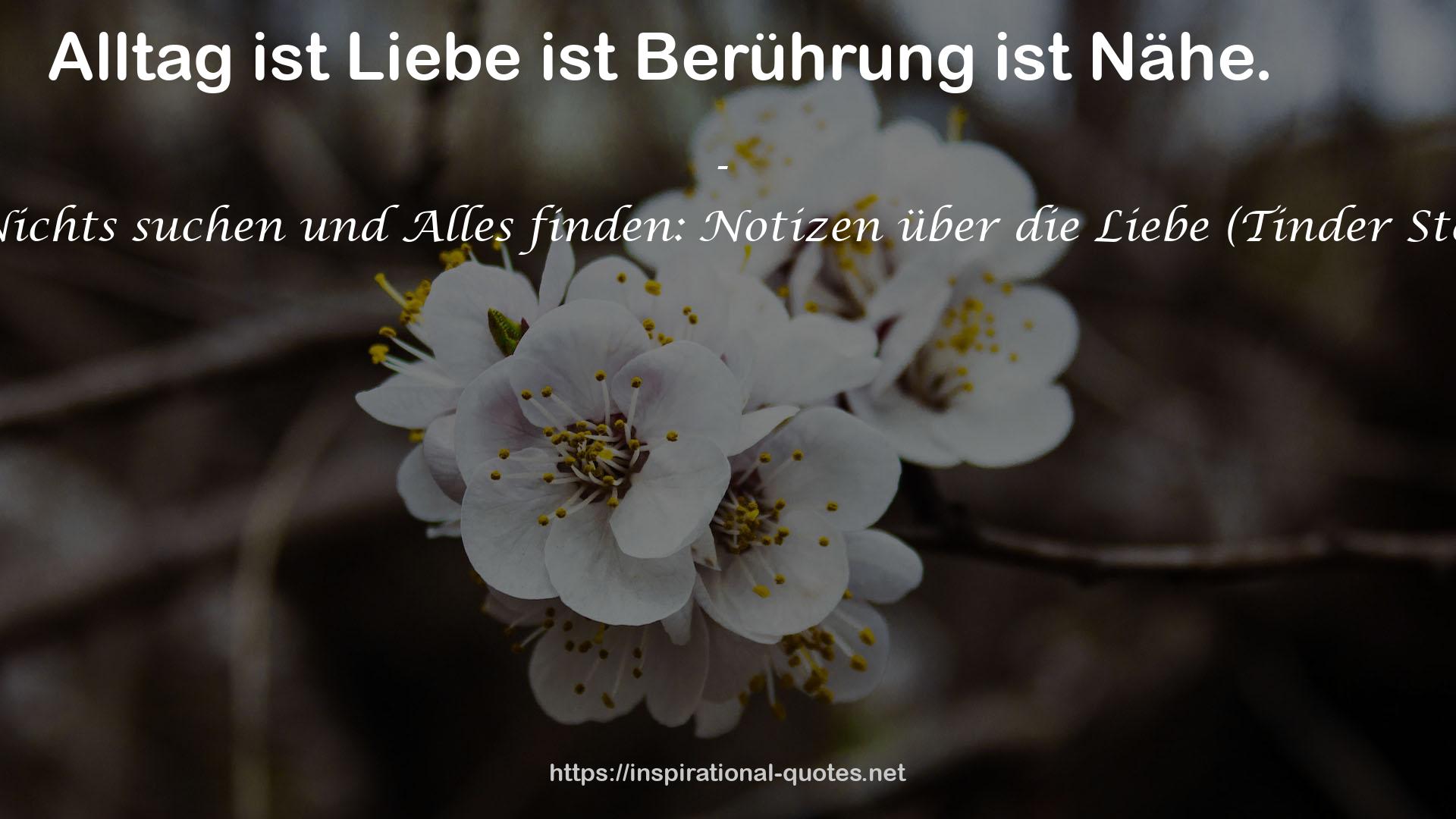 Vom Nichts suchen und Alles finden: Notizen über die Liebe (Tinder Stories 2) QUOTES