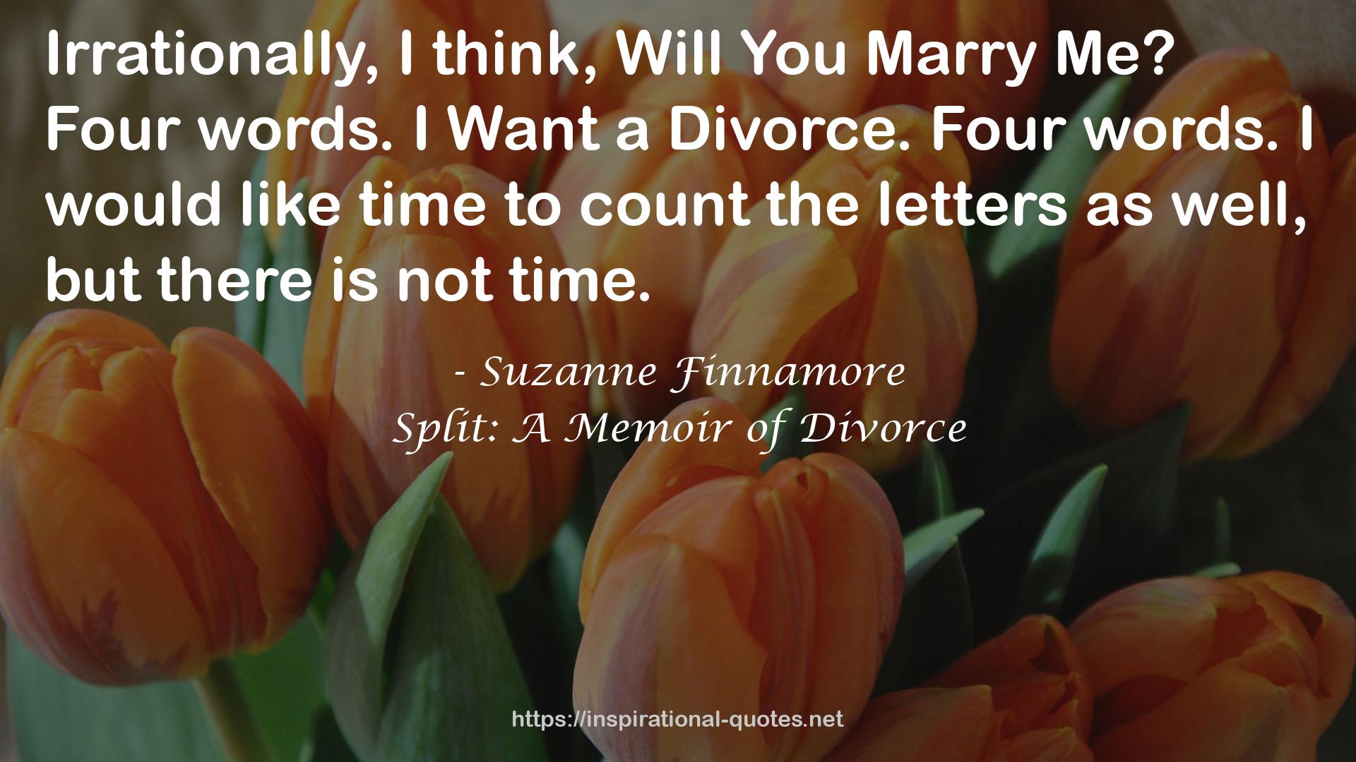 Suzanne Finnamore QUOTES