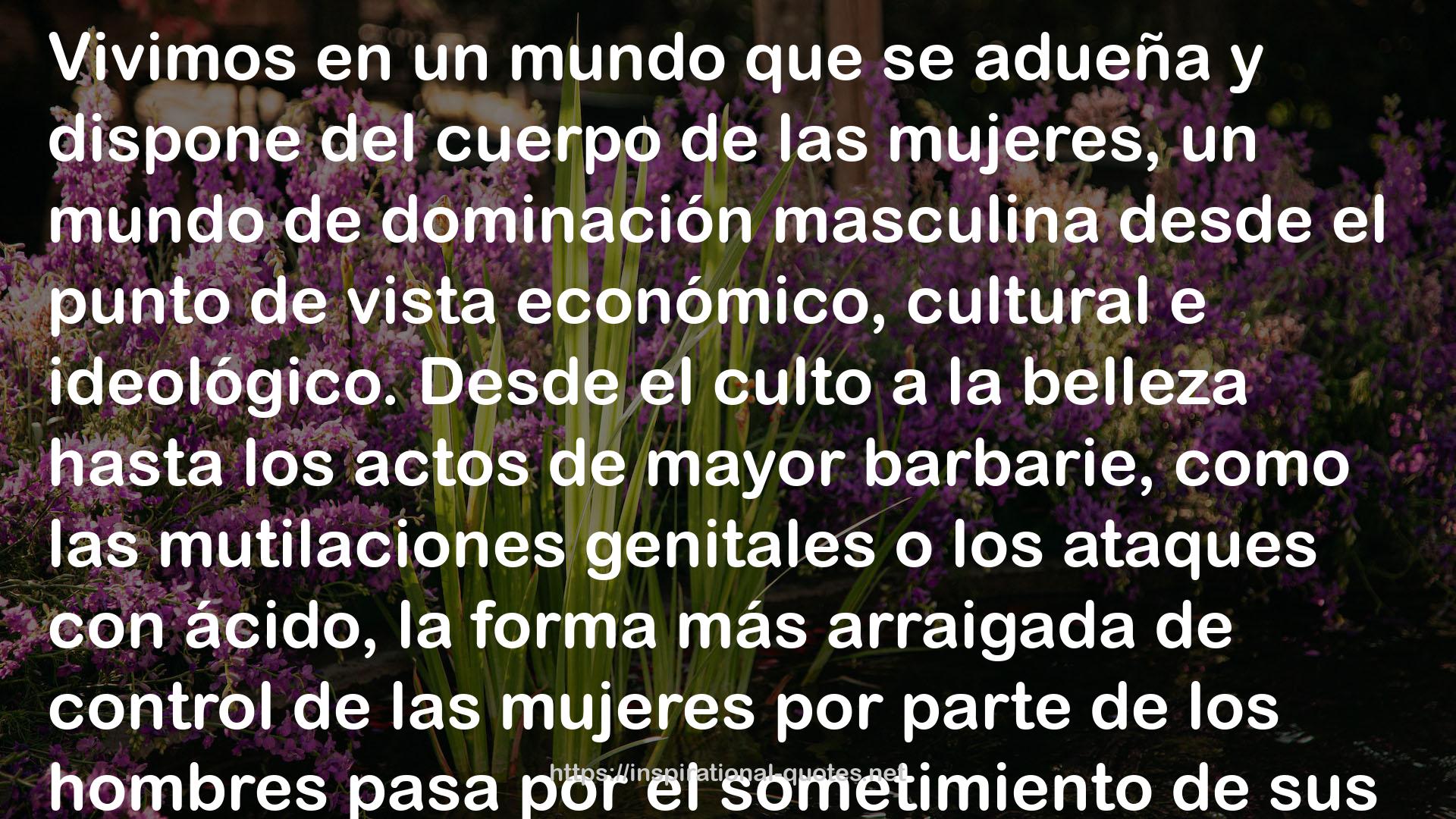 Manifiesto FEMEN QUOTES